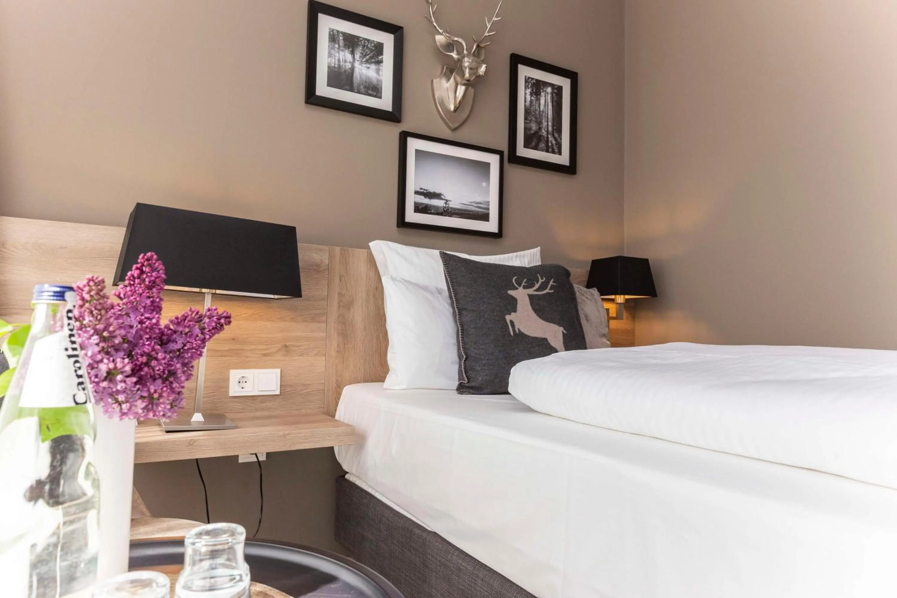 Comfort Plus Single Room in Best Western Plus Hotel Ostertor