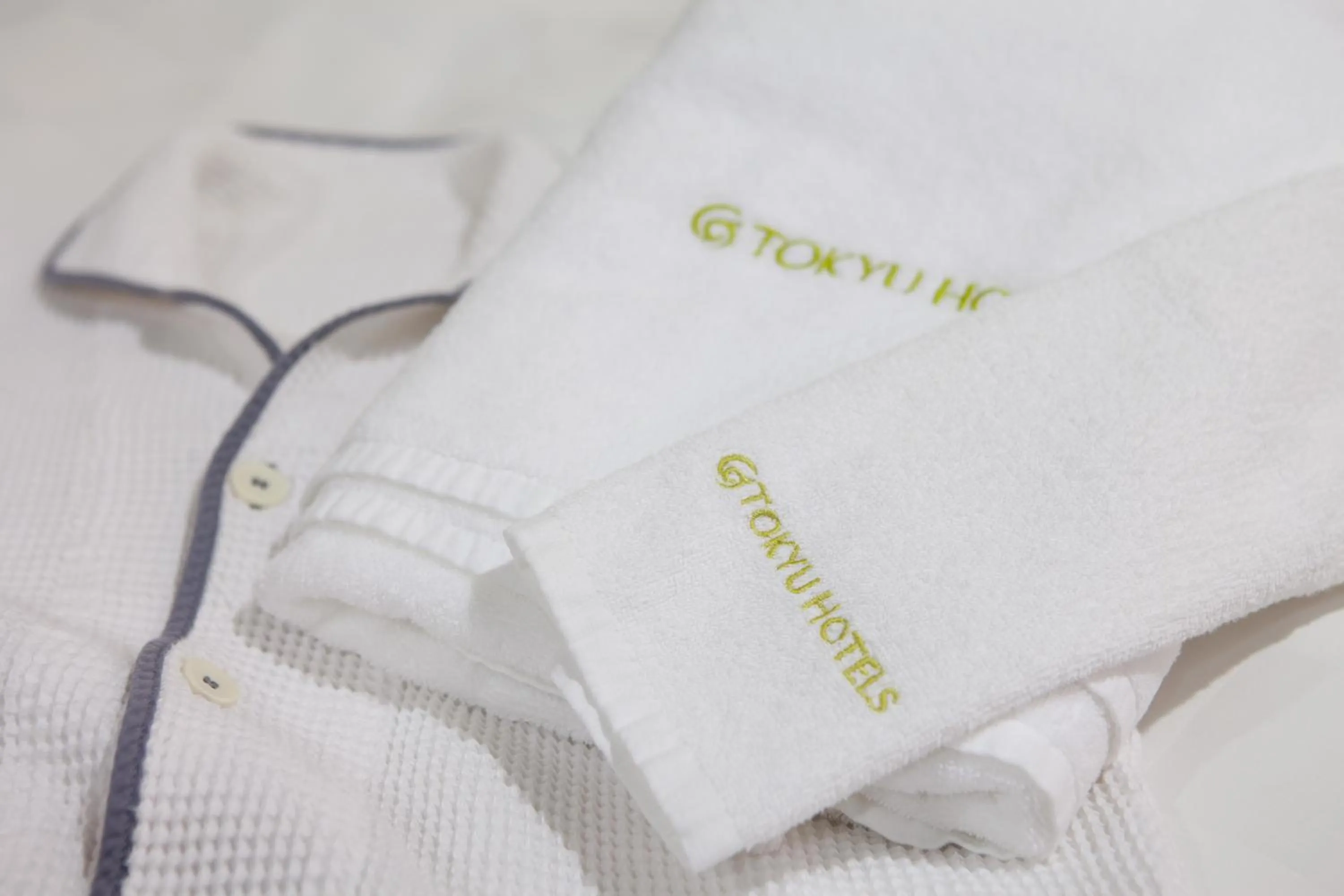 Double Room with Small Double Bed - Non-Smoking in Hiroshima Tokyu REI Hotel