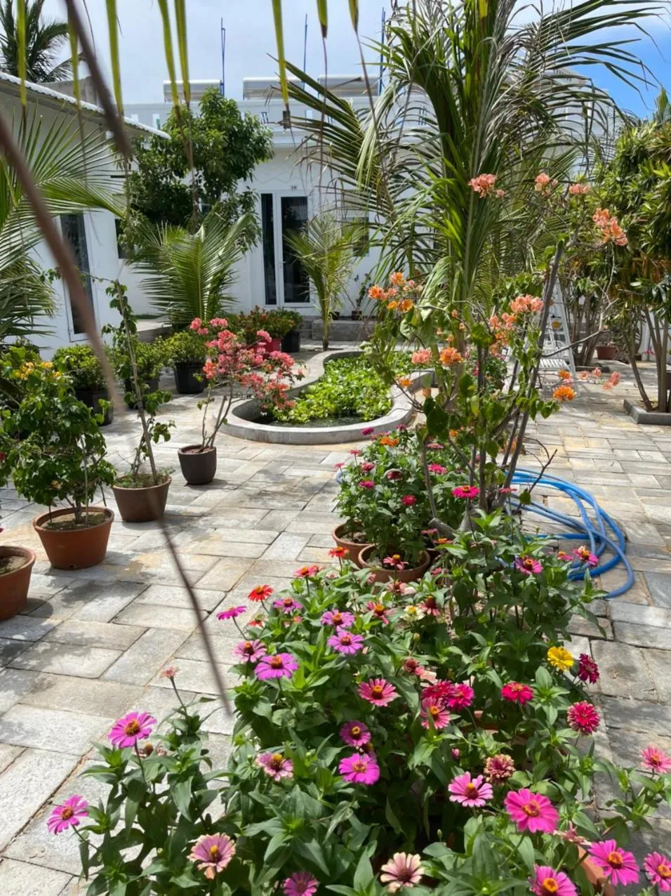 Quadruple Room with Garden View in Windy hills hotel