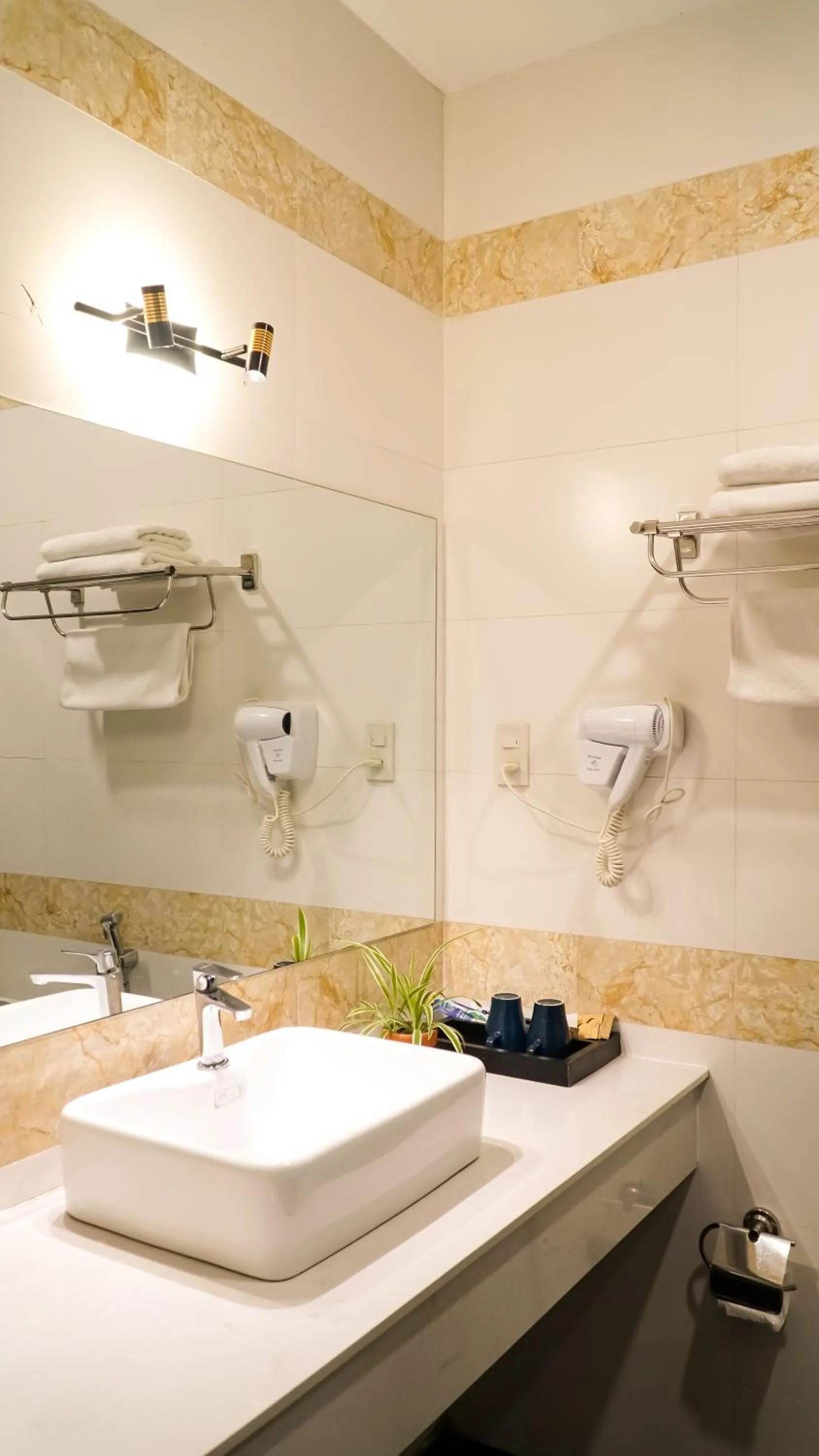 Standard King Room - single occupancy in Bros Hotel