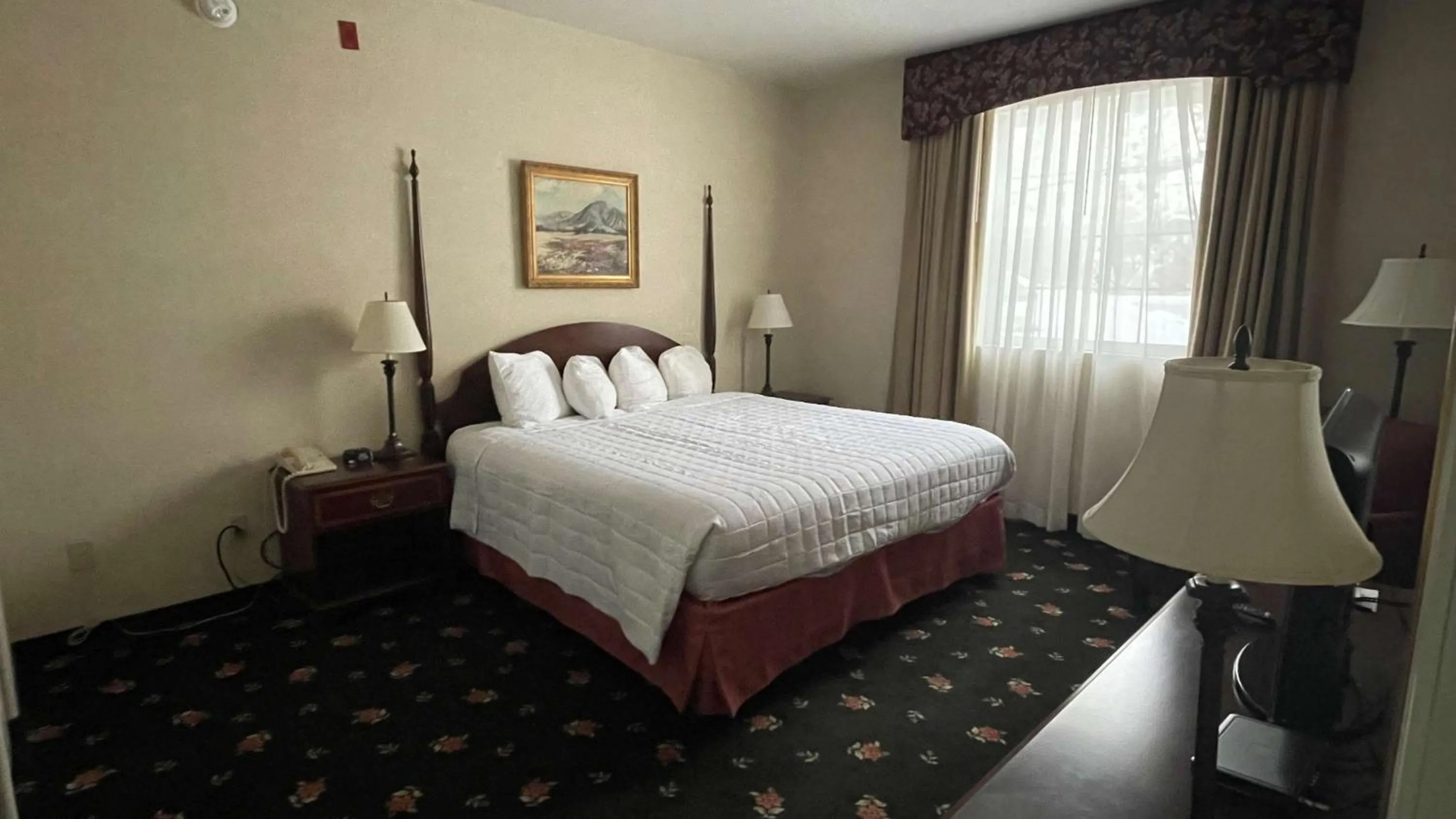 King Room - Non-Smoking in SureStay Hotel by Best Western Eureka