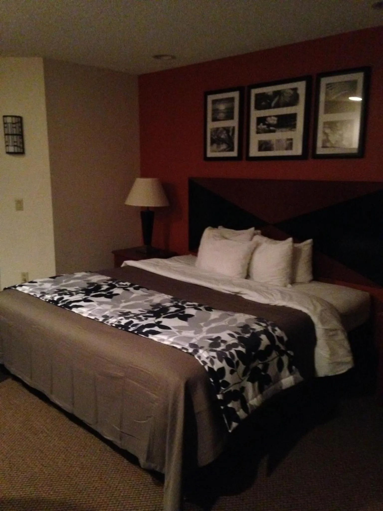 King Room - Non-Smoking in Sleep Inn Pelham Oak Mountain