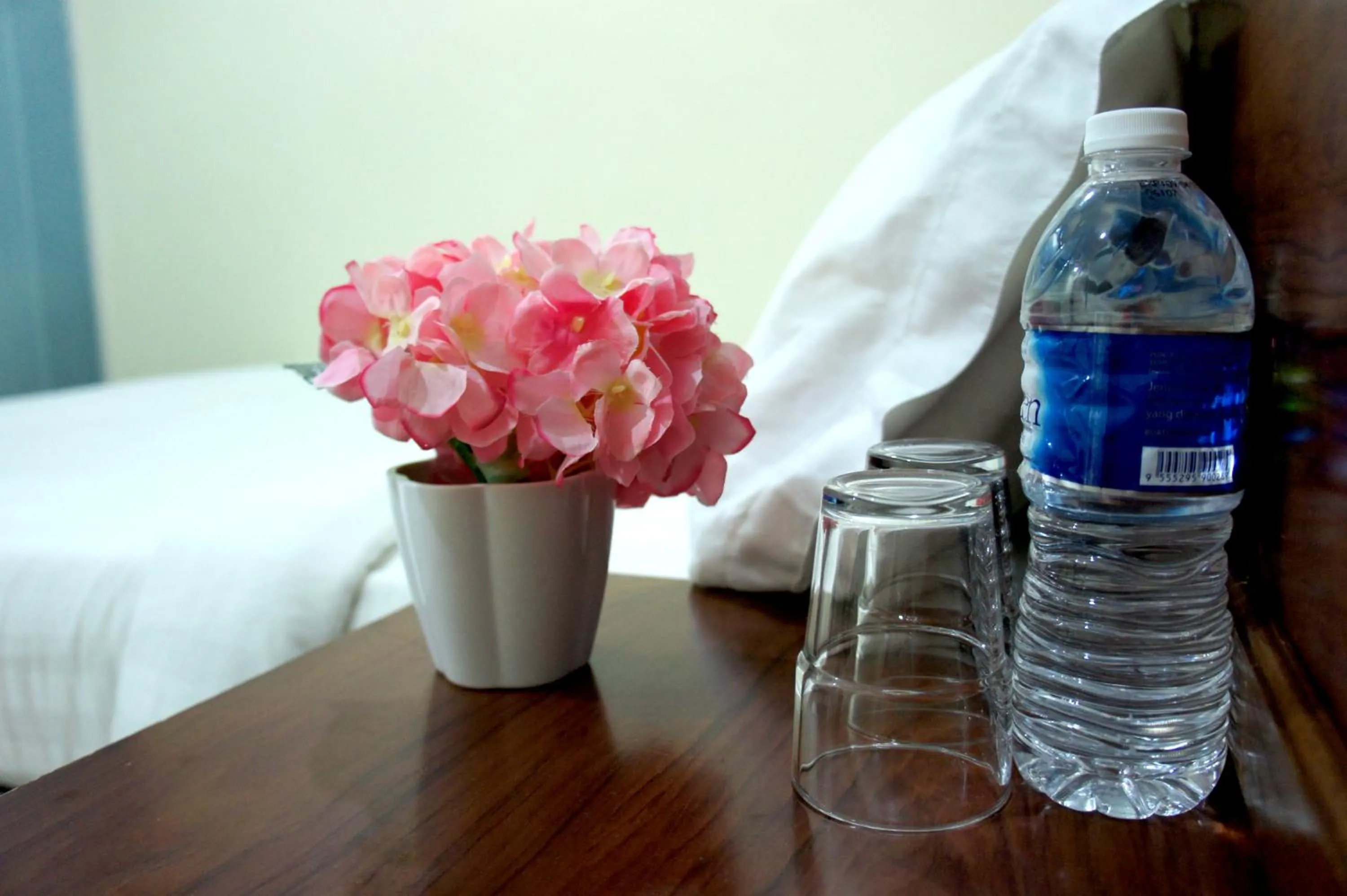 Superior Twin Room in Maple Inn