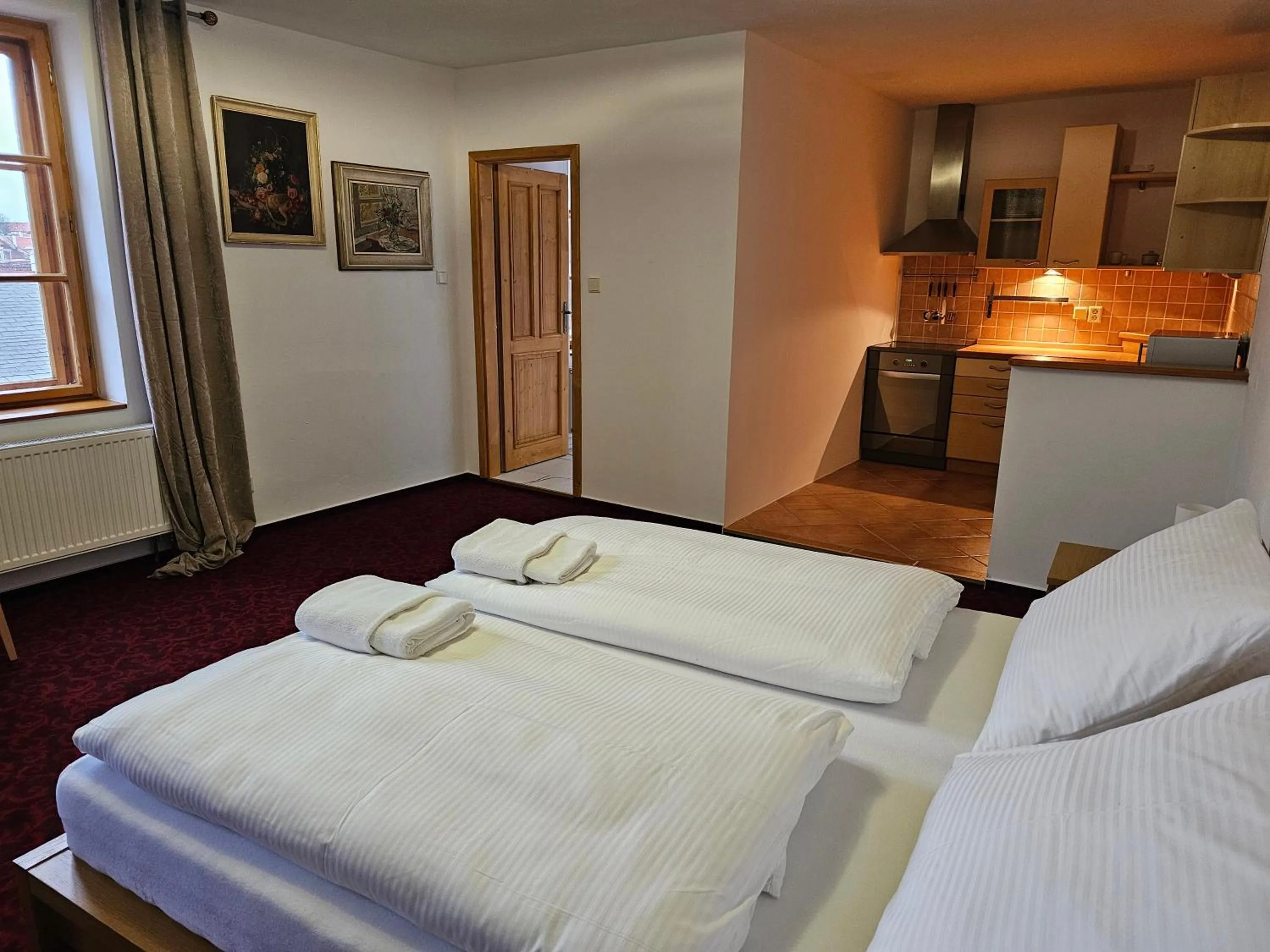 Apartment - single occupancy in Hotel Bílá Paní