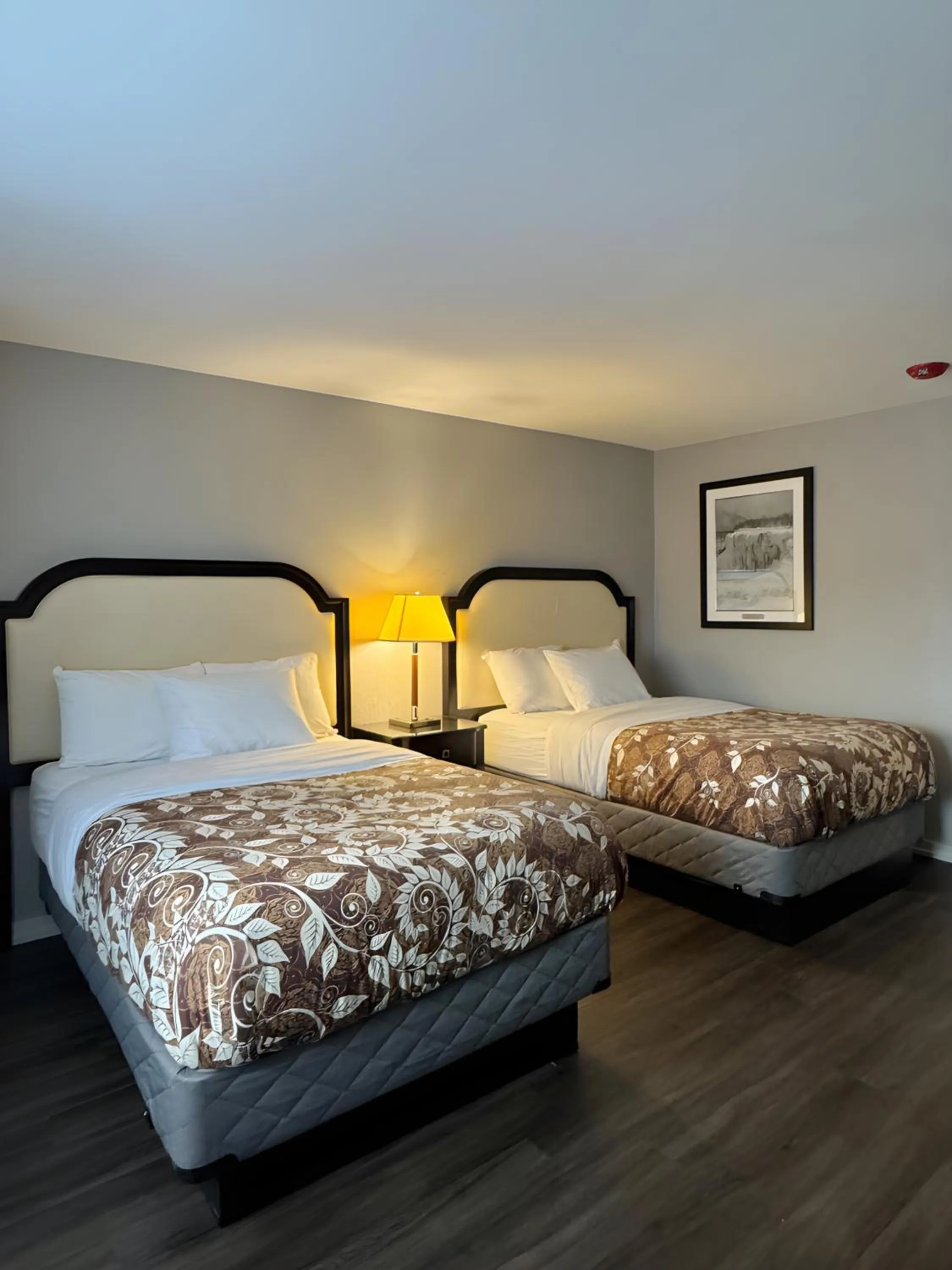 Deluxe Double Room in Big Bird Inn Wawa, SureStay Collection by Best Western