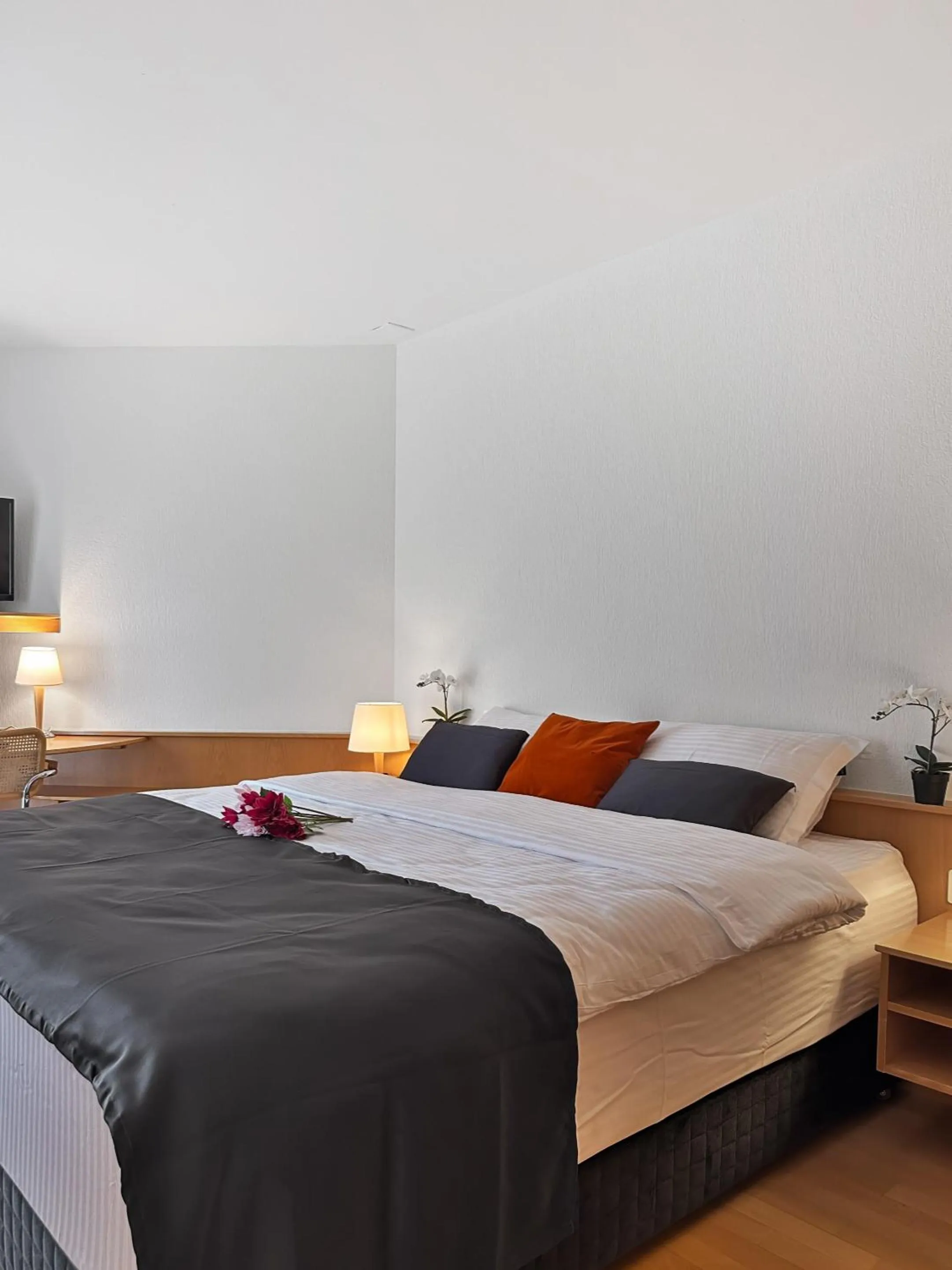 Double Room with Private Bathroom in Centra Hotel Zurich