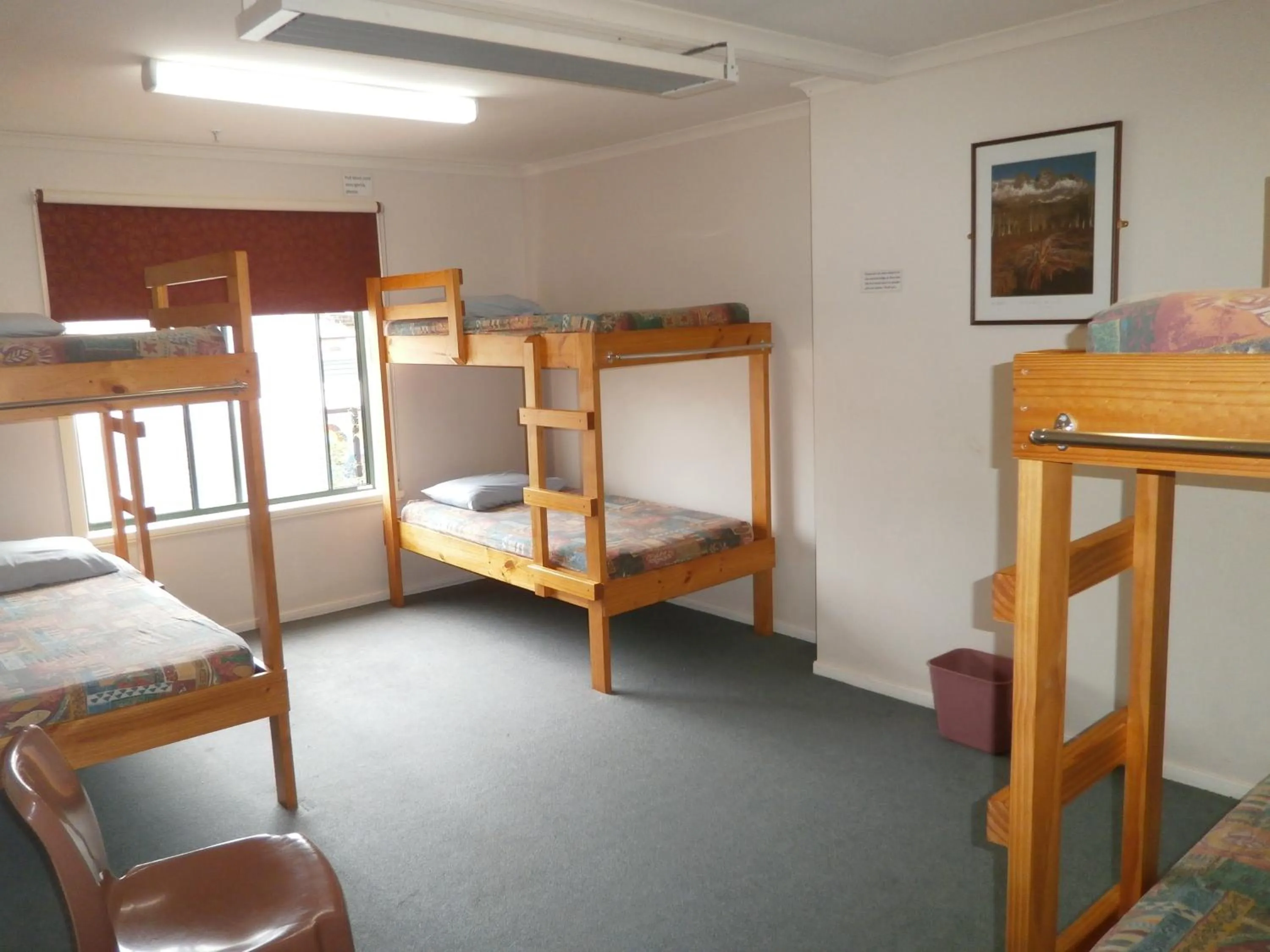 Bed in 8-Bed Mixed Dormitory Room in Launceston Backpackers