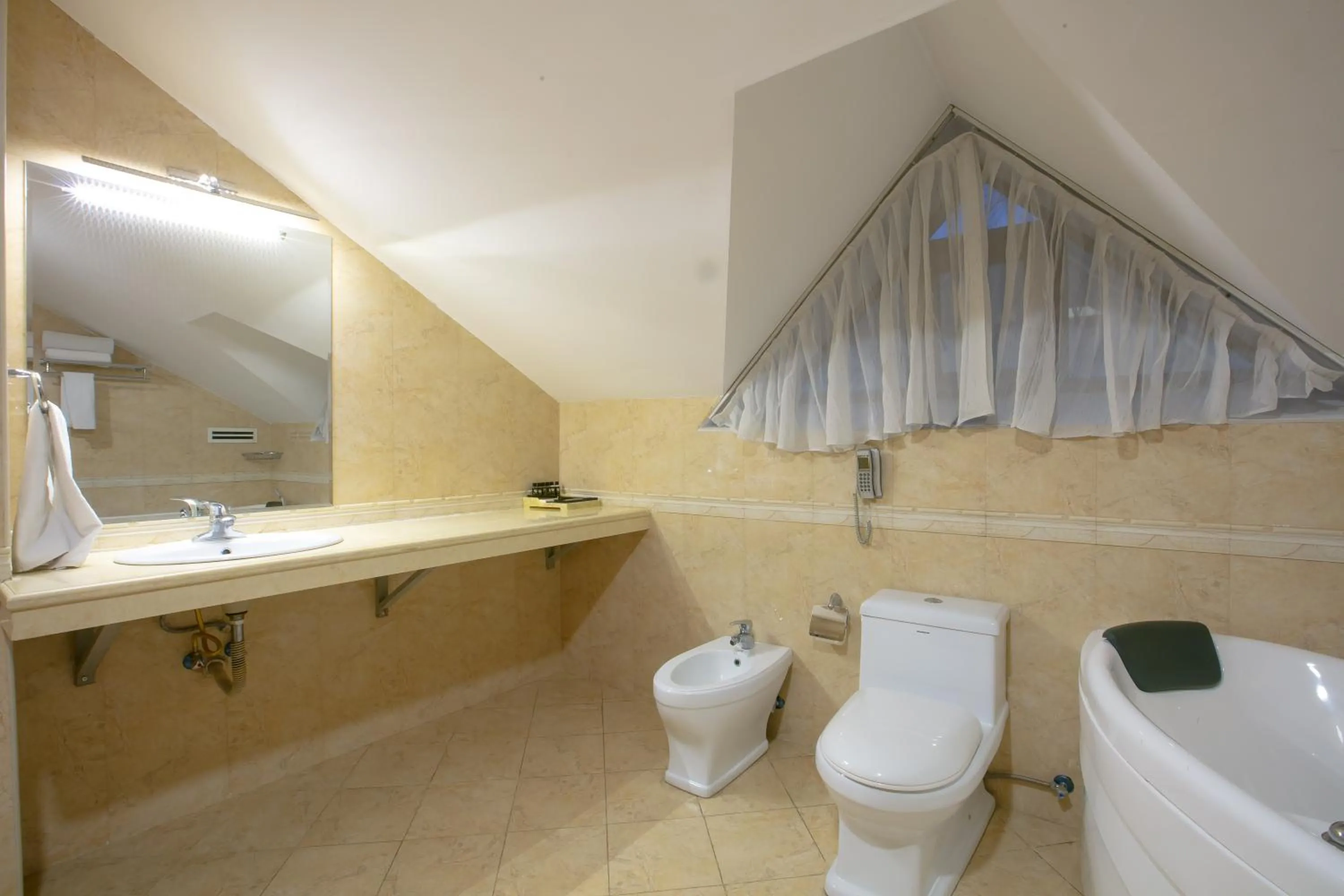 Executive Suite - single occupancy in Sheki Palace Hotel