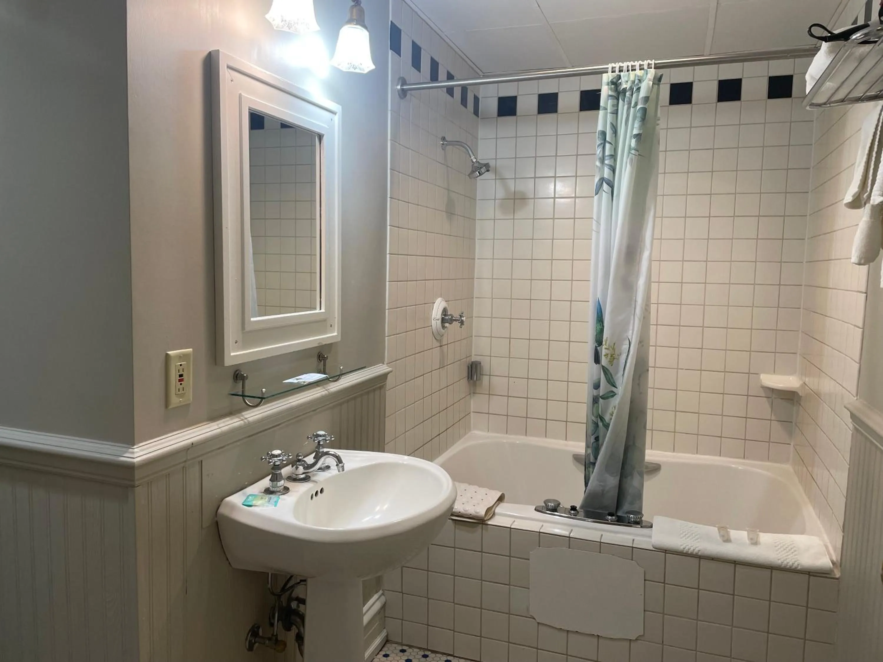 Deluxe Single Room - single occupancy in The Audubon Inn LLC