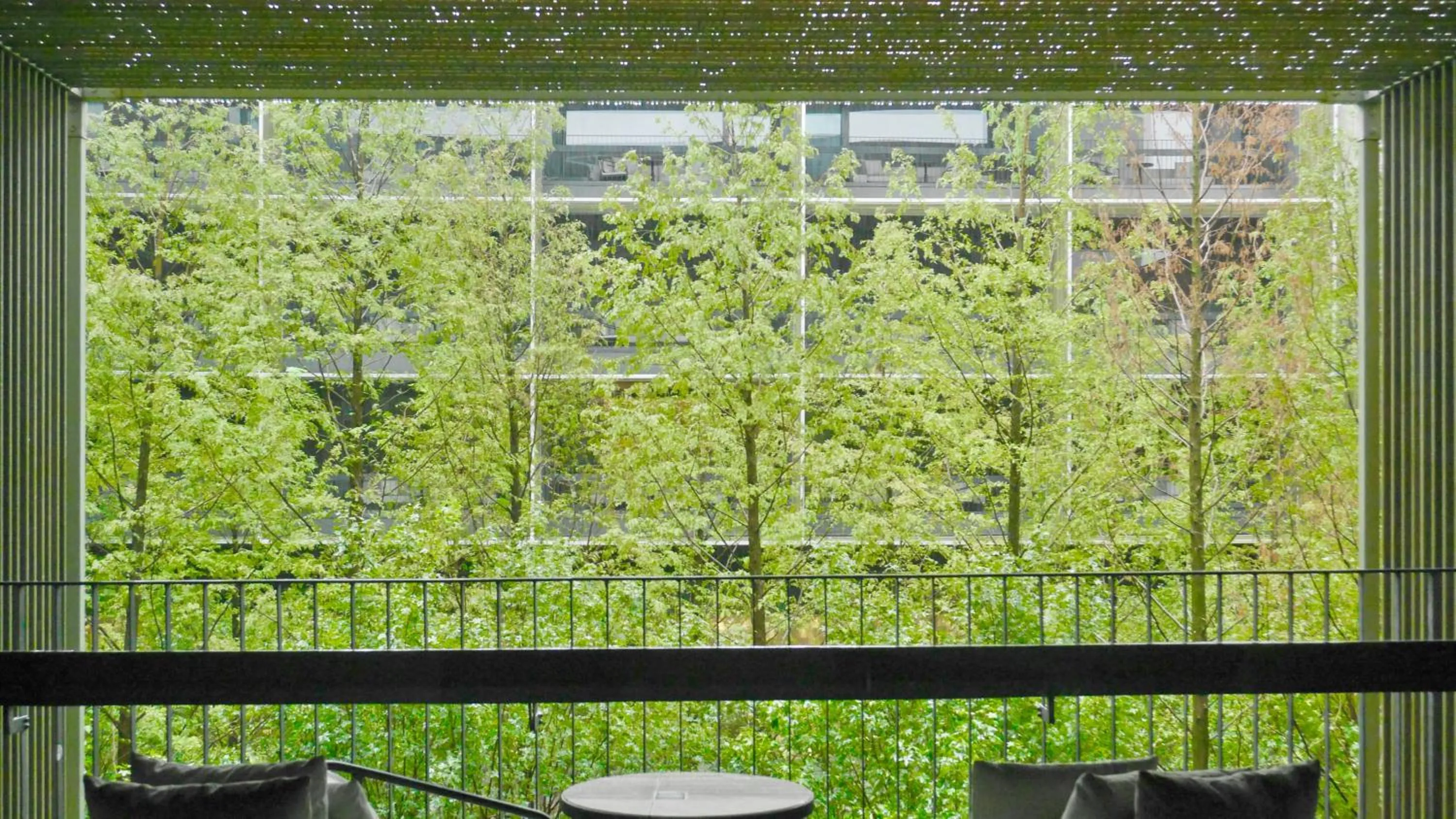 Deluxe Twin Room with Garden View and Balcony - single occupancy in Nanjing, Jiangning, Autograph Collection