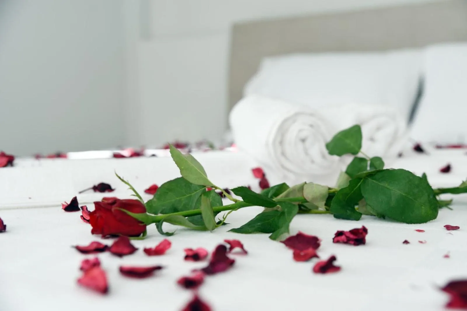 Quadruple Room in SORAL APART