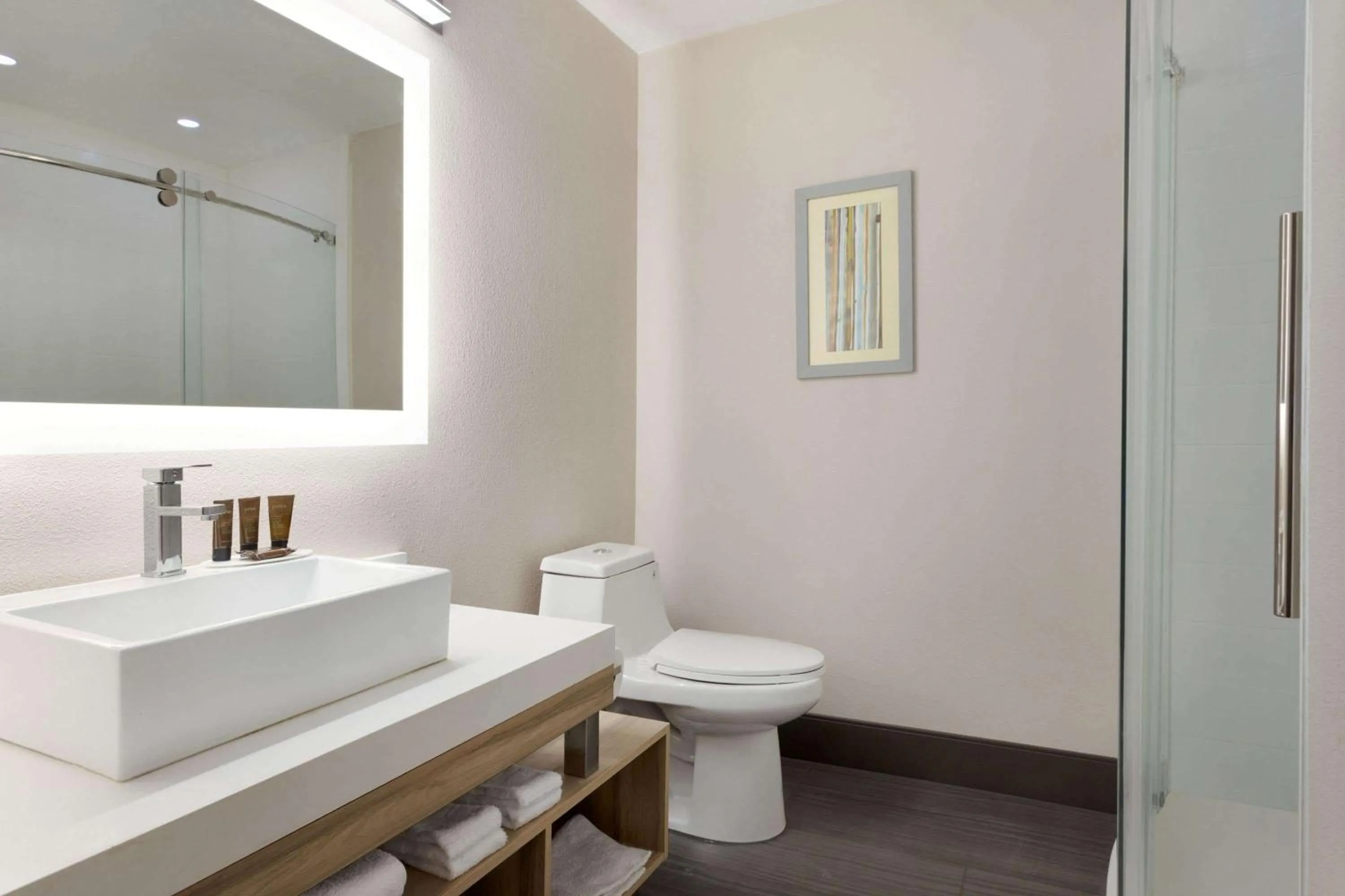 King Room - Non-Smoking in Wingate by Wyndham Murfreesboro-NEAR MTSU