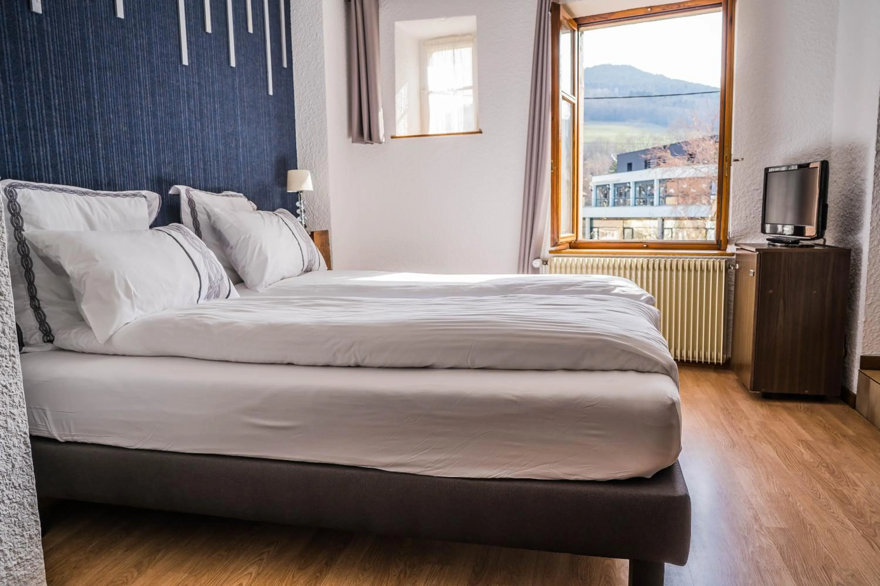 Double Room with Bath in Hôtel Au Vieux Moulin