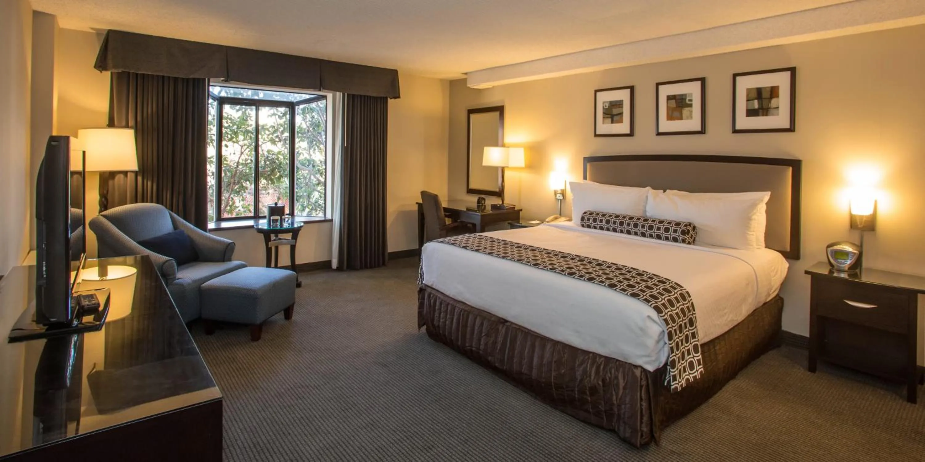 King Room - Non-Smoking in Concord Plaza Hotel