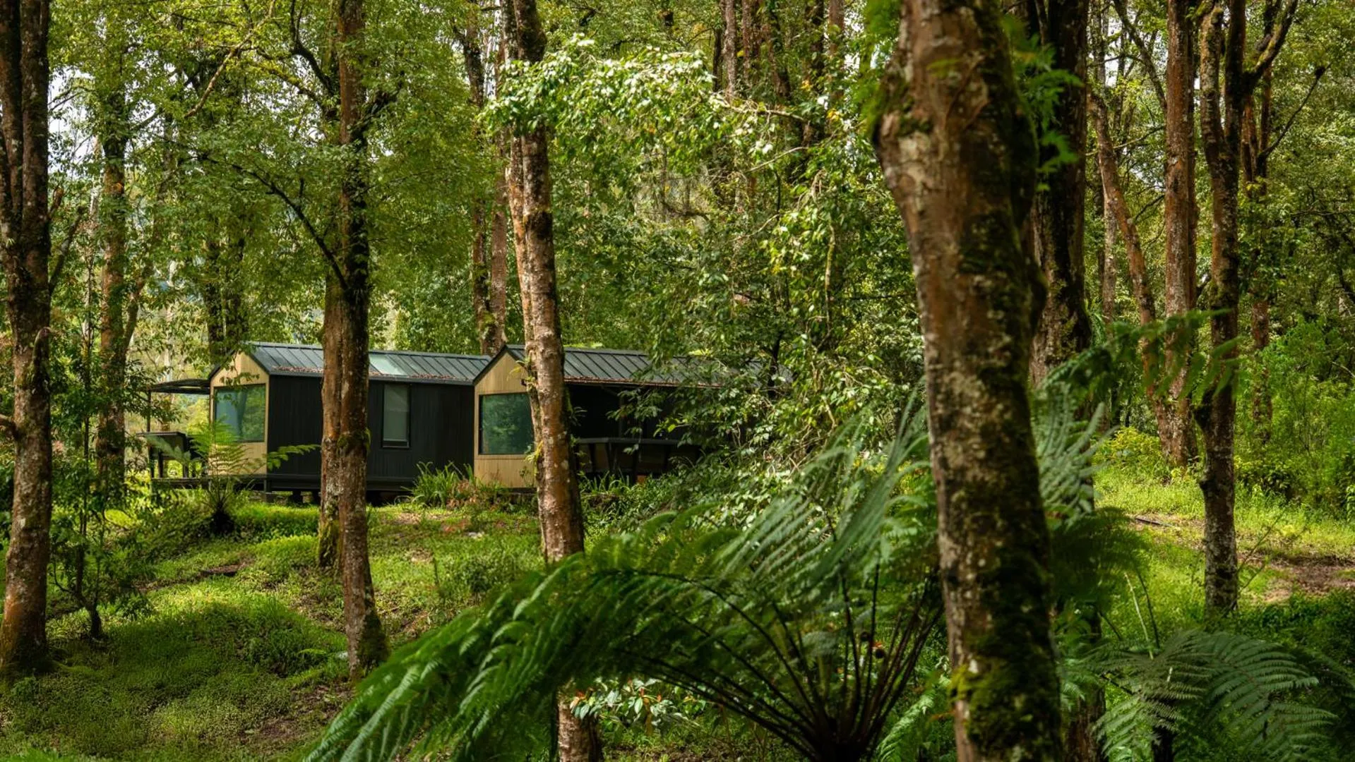 Executive Cabin in Bobocabin Ranca Upas, Bandung