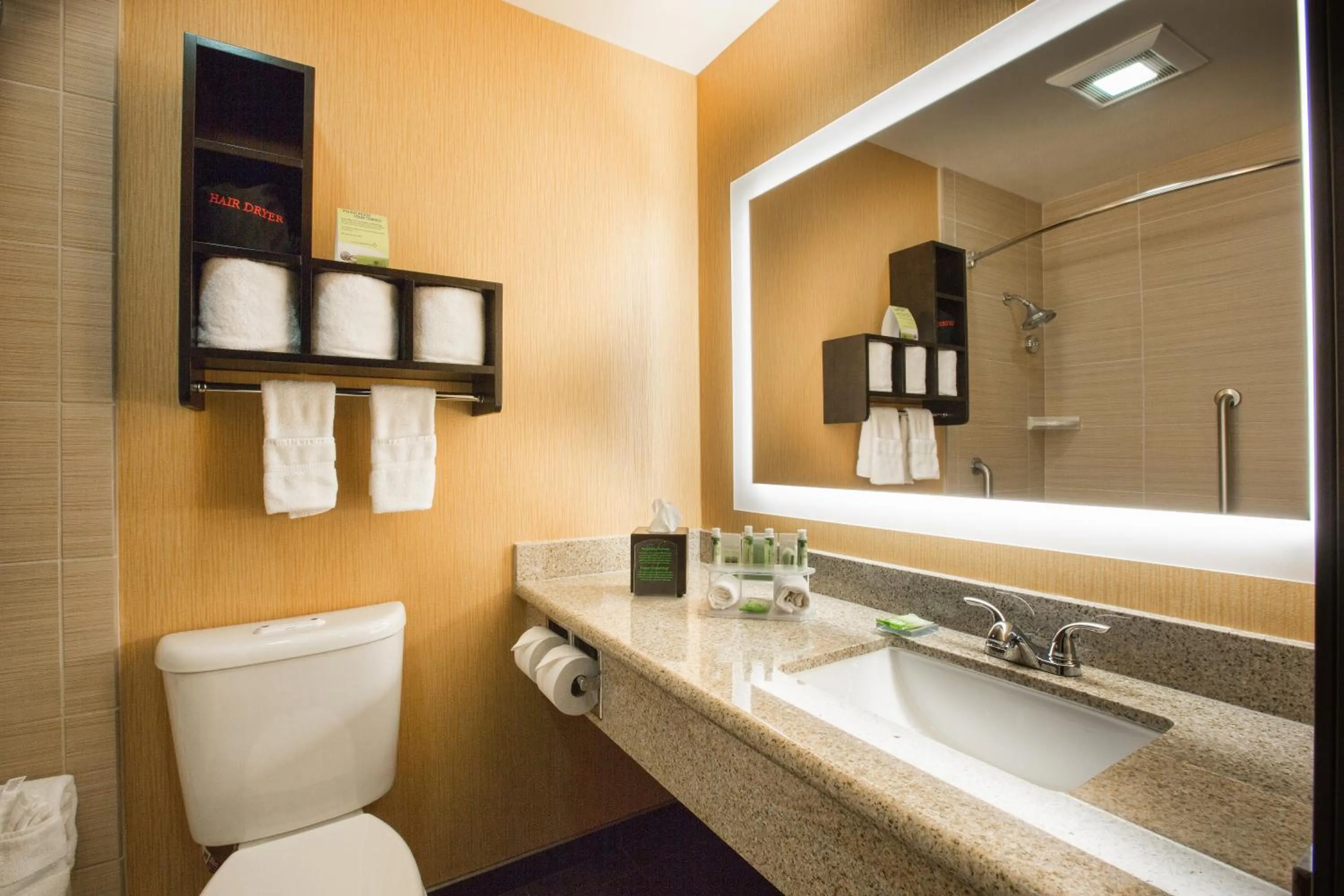 Standard King Room in Holiday Inn Express Mountain View South Palo Alto by IHG