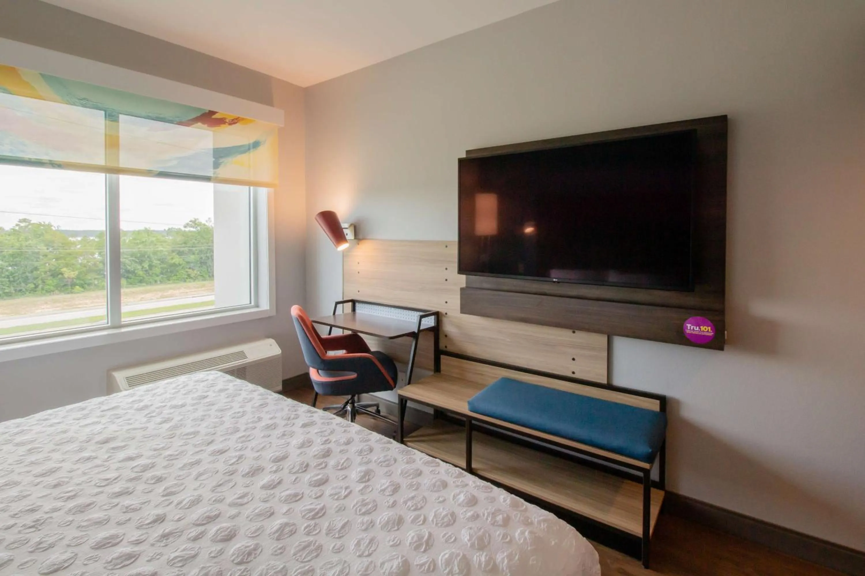 King Room in Tru By Hilton Niceville, Fl