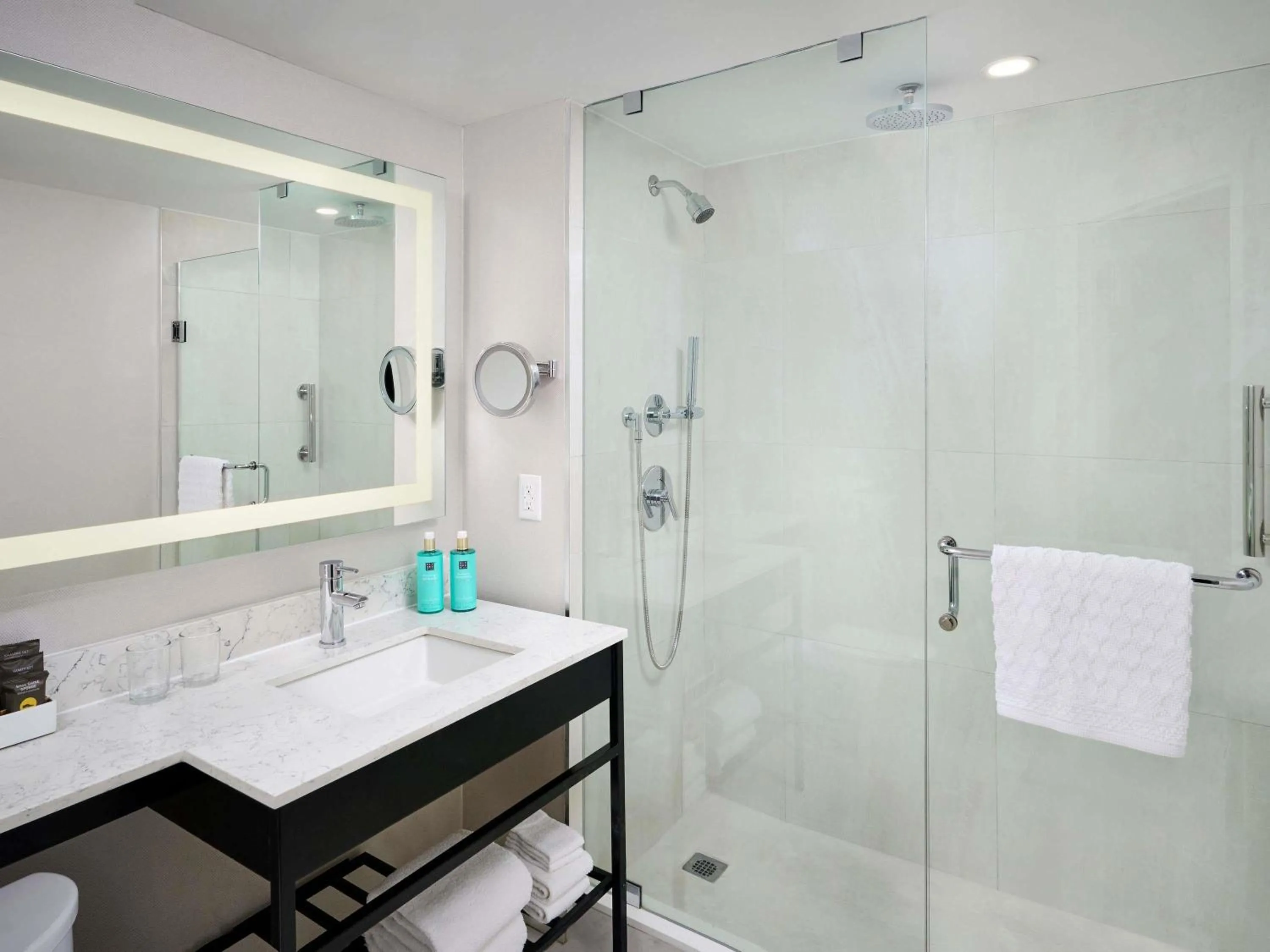 Superior with Two Queen Beds - single occupancy in The Novotel Toronto Centre