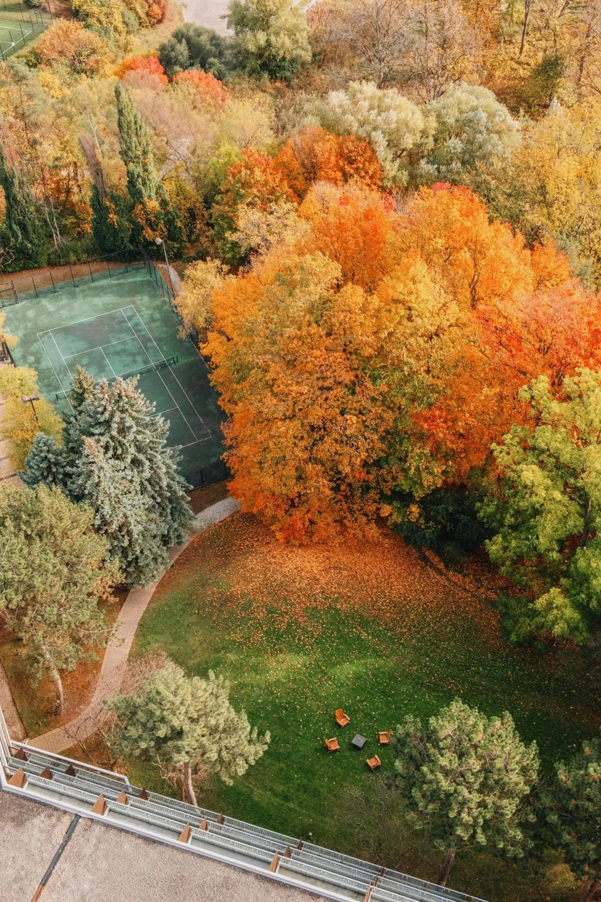 Premier Room king bed in Pan Pacific Toronto