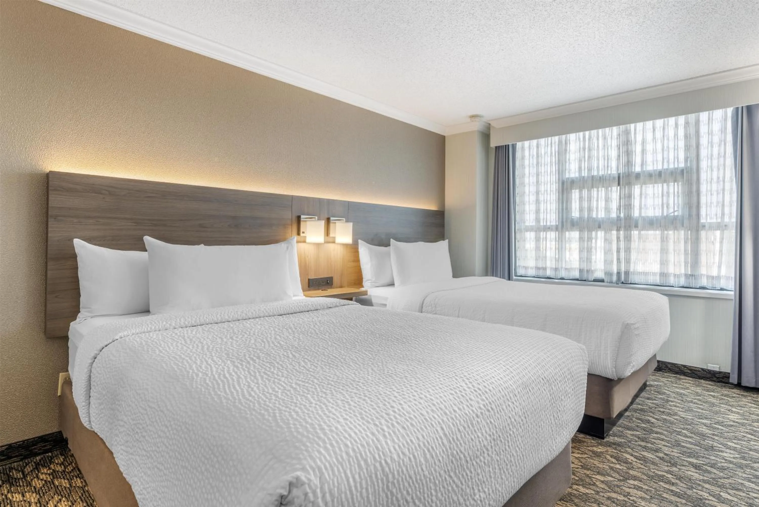 Suite with Two Double Beds and Sofa Bed - Kitchen in BEST WESTERN PLUS Carlton Plaza Hotel