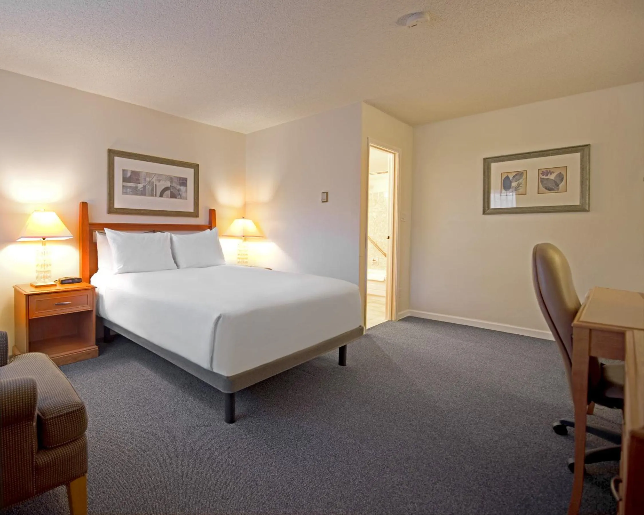 Standard Queen Room in Robin Hood Inn and Suites