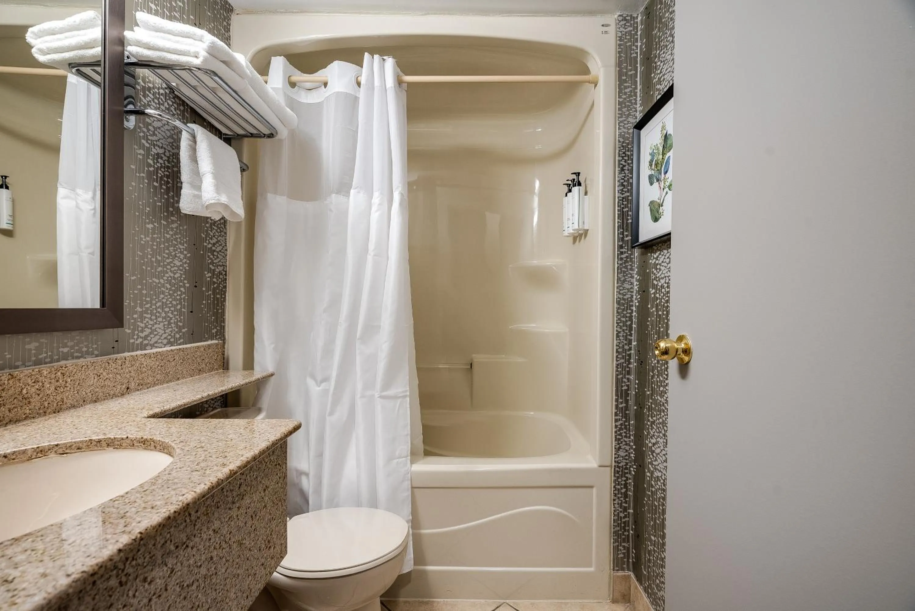 Standard room with 1 king bed in Monte Carlo Inn Toronto West Suites