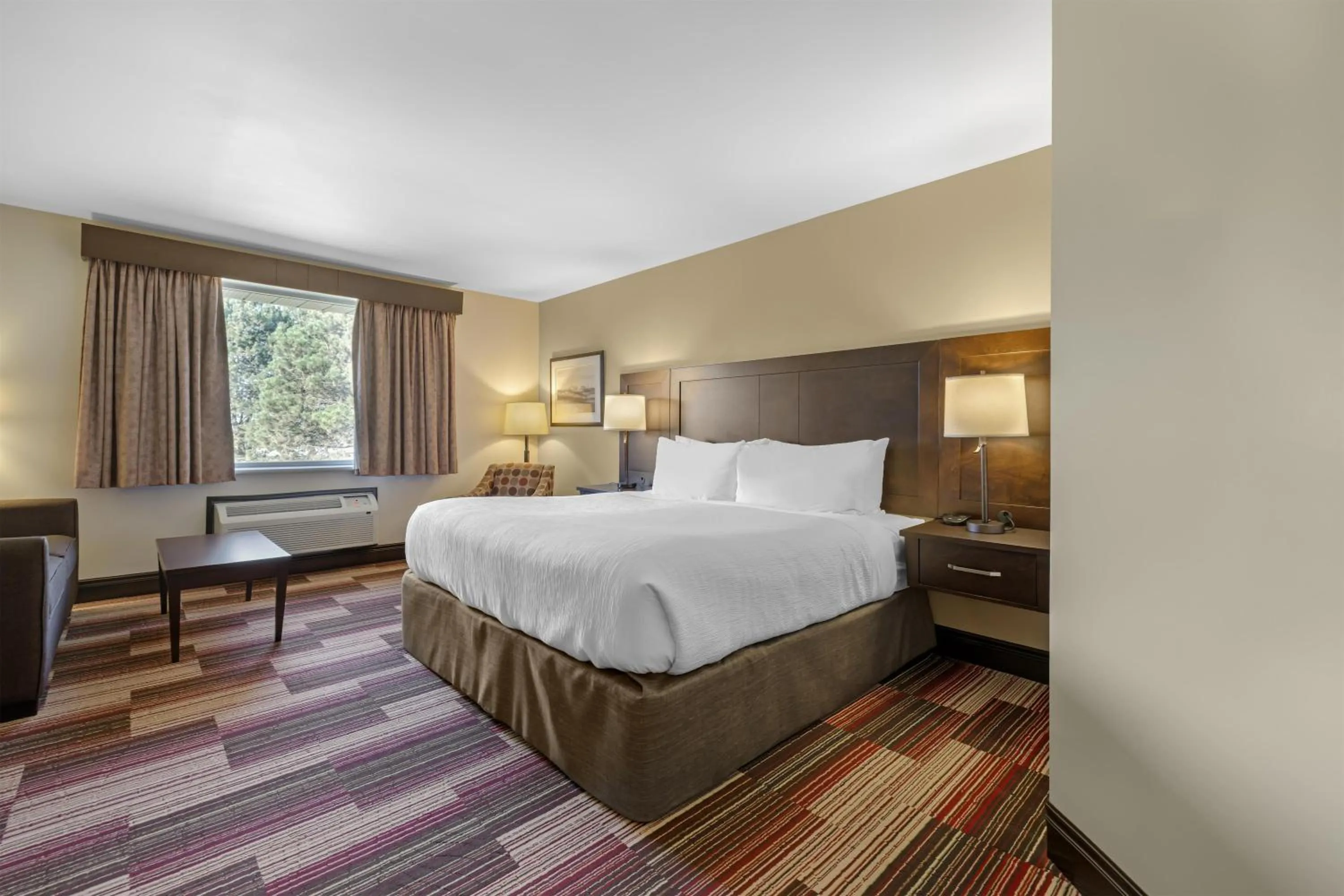 King Room with Sofa Bed - Non-Smoking in Best Western Plus Stoneridge Inn & Conference Centre London Ontario