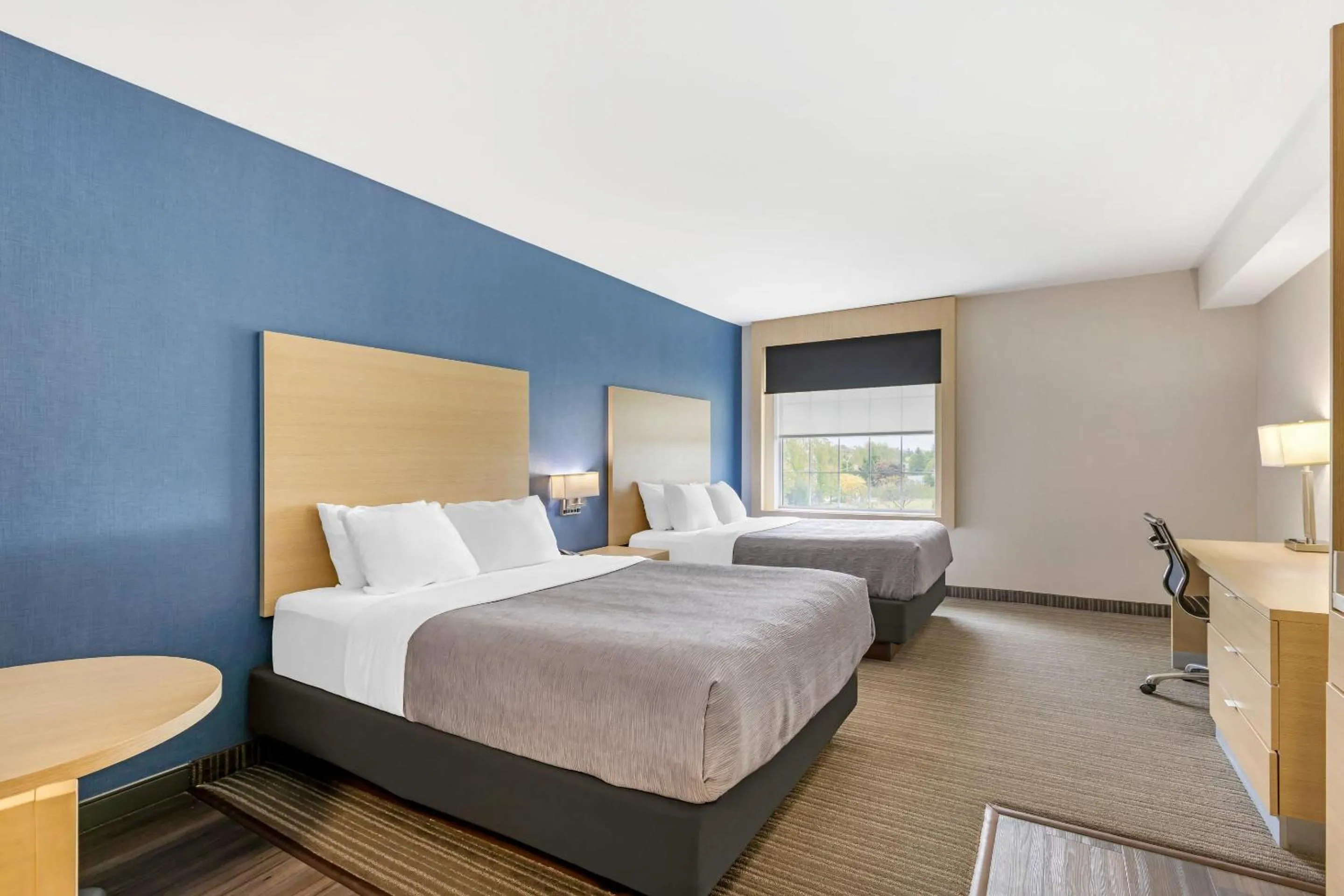 Superior Queen Room in Quality Inn & Suites