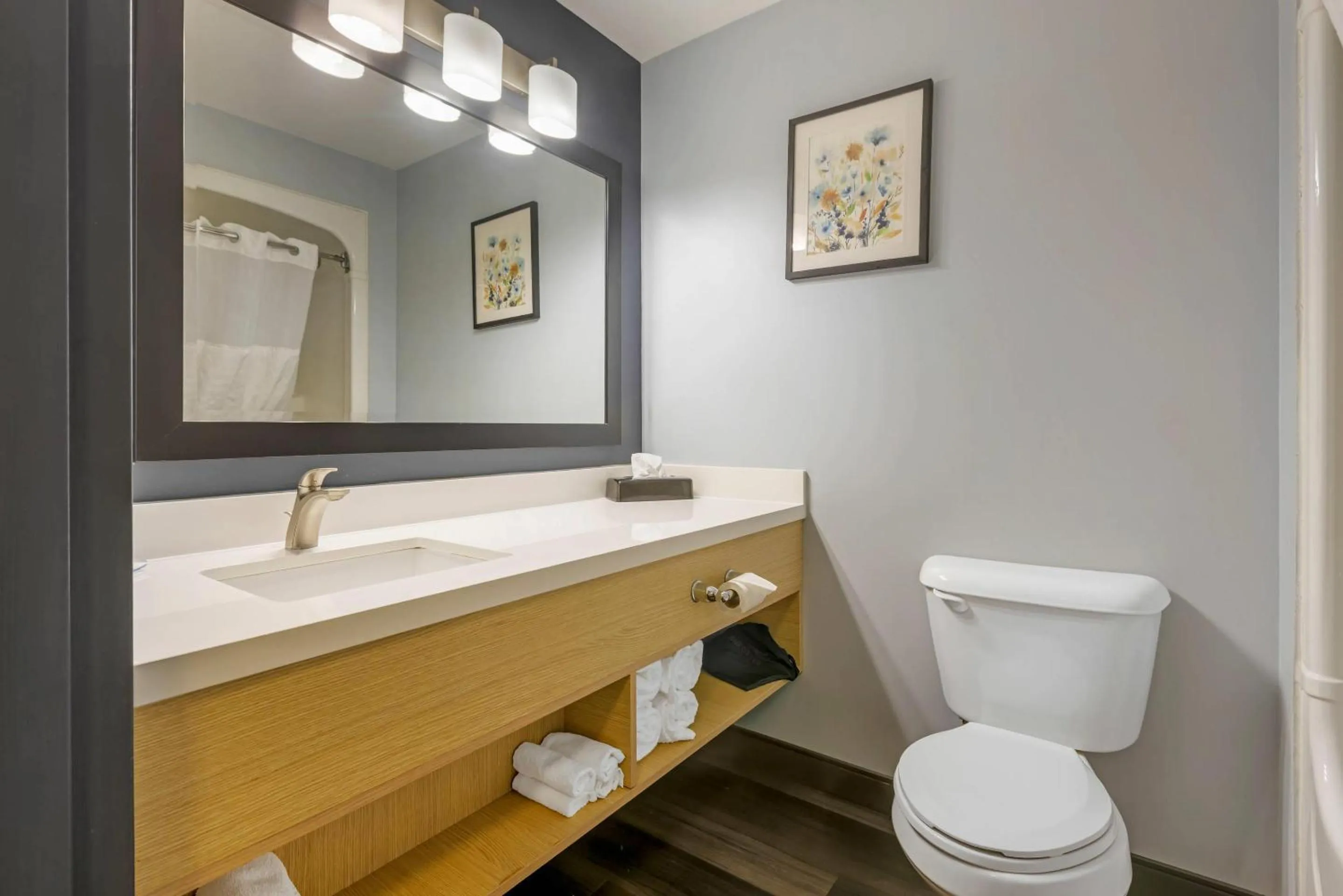 King Room - Non-Smoking in Quality Inn & Suites