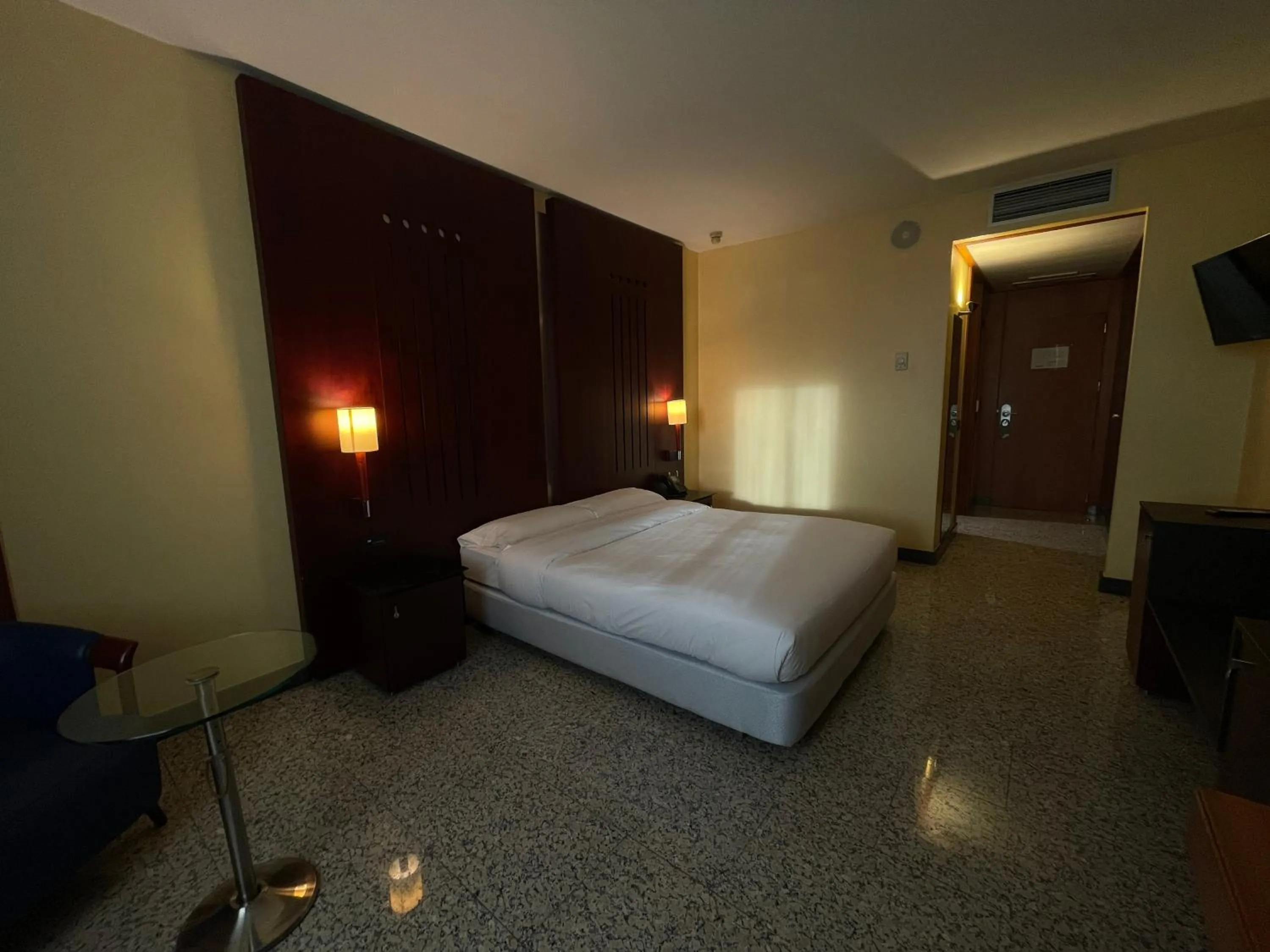 Large Double Room - single occupancy in Hotel Amaltea by Executive Sport