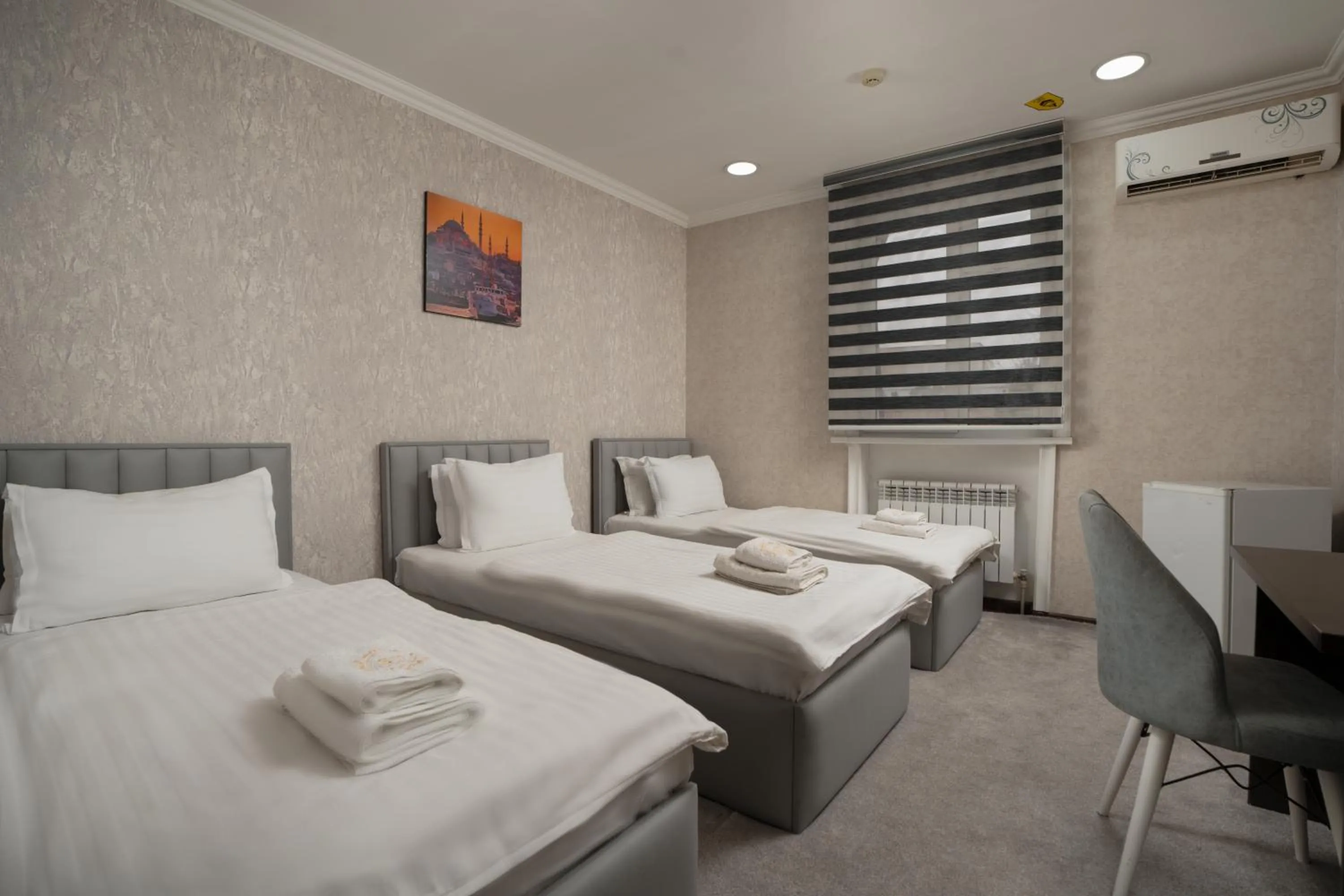 Basic Triple Room - single occupancy in SV HOTEL