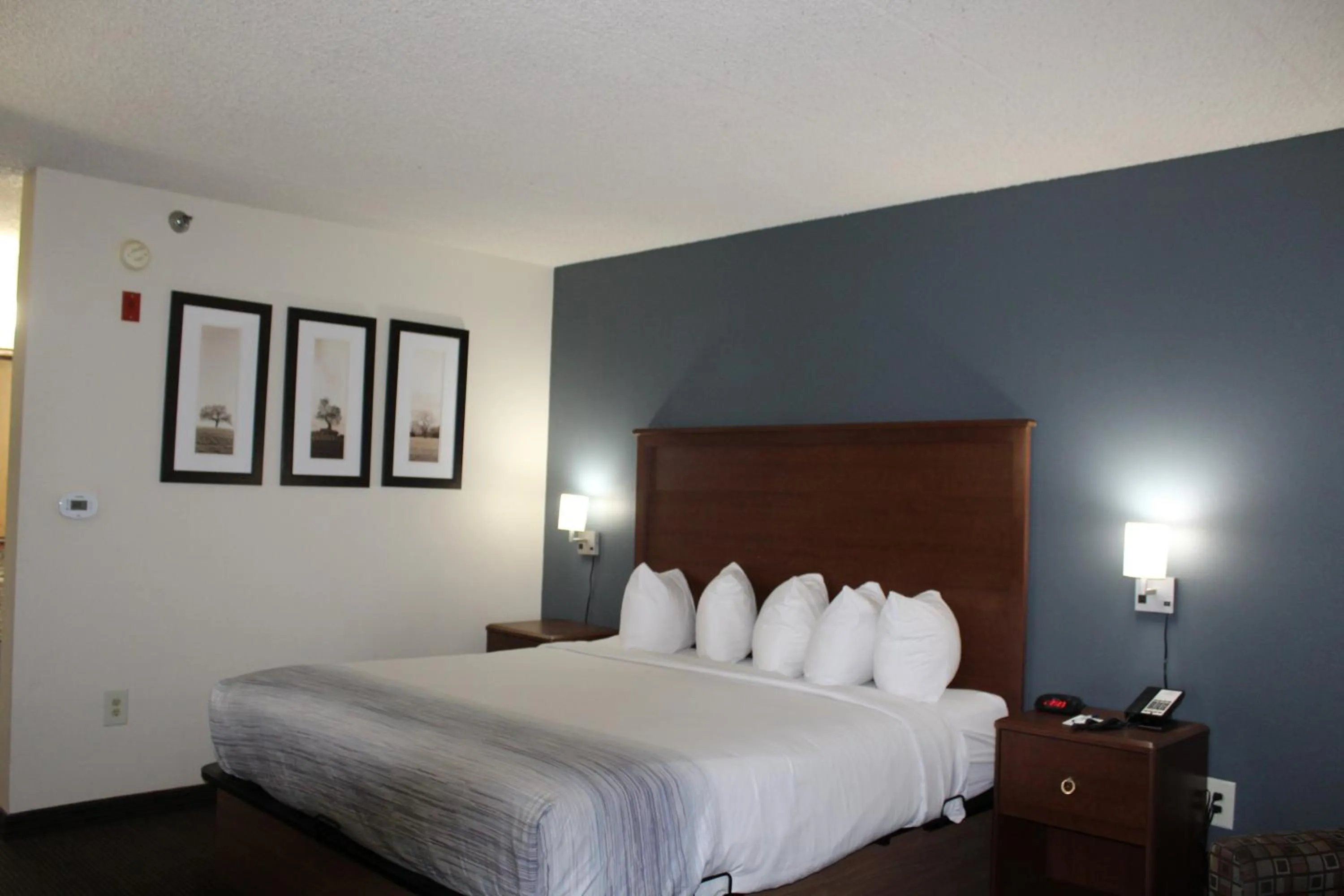 Deluxe King Suite - Non-Smoking in AmericInn by Wyndham Windsor Ft. Collins