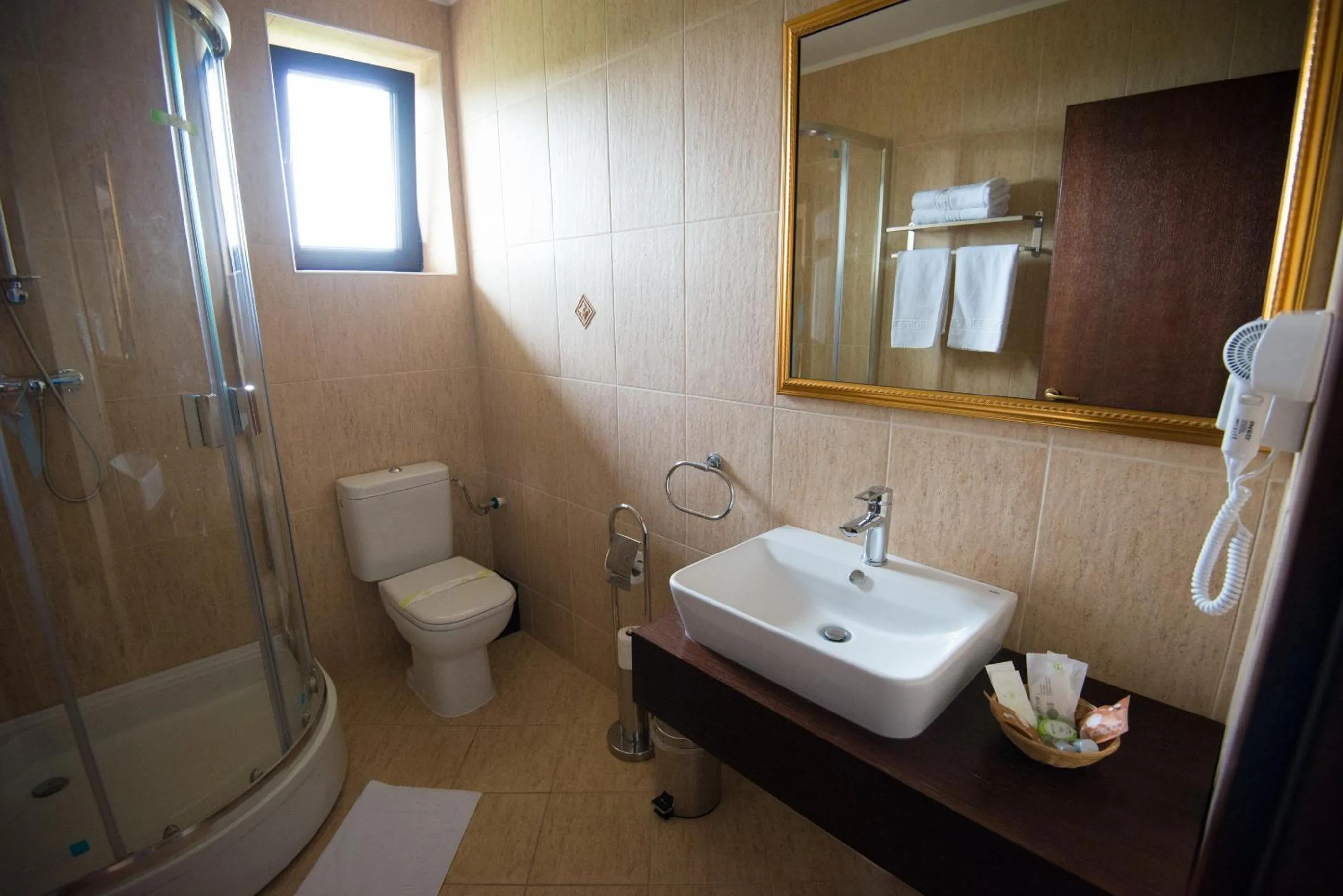 Twin Room with Balcony - single occupancy in Pensiunea Toscana