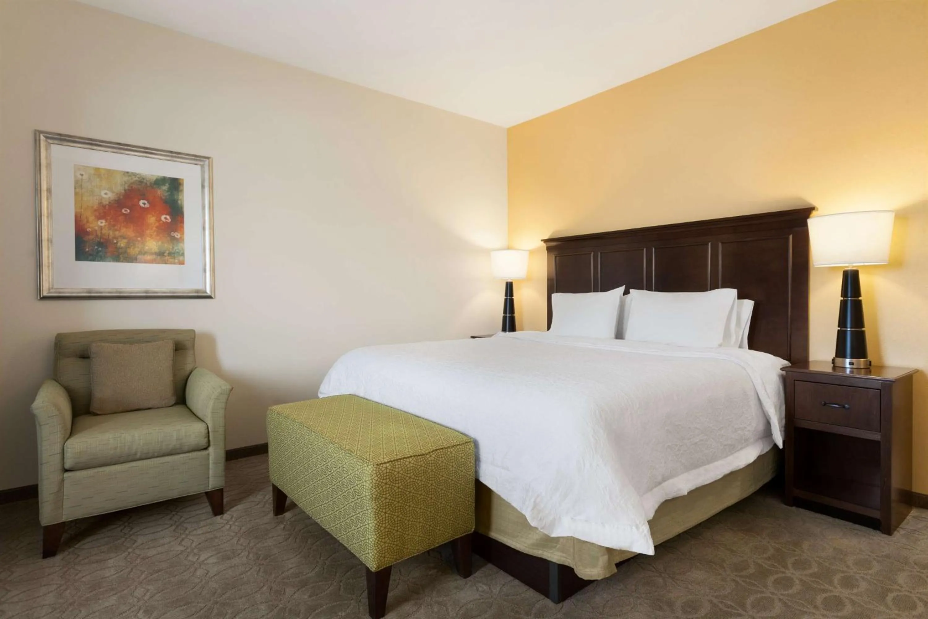 King Studio with Roll-In Shower - Mobility and Hearing Access/Non-Smoking in Hampton Inn & Suites San Bernardino