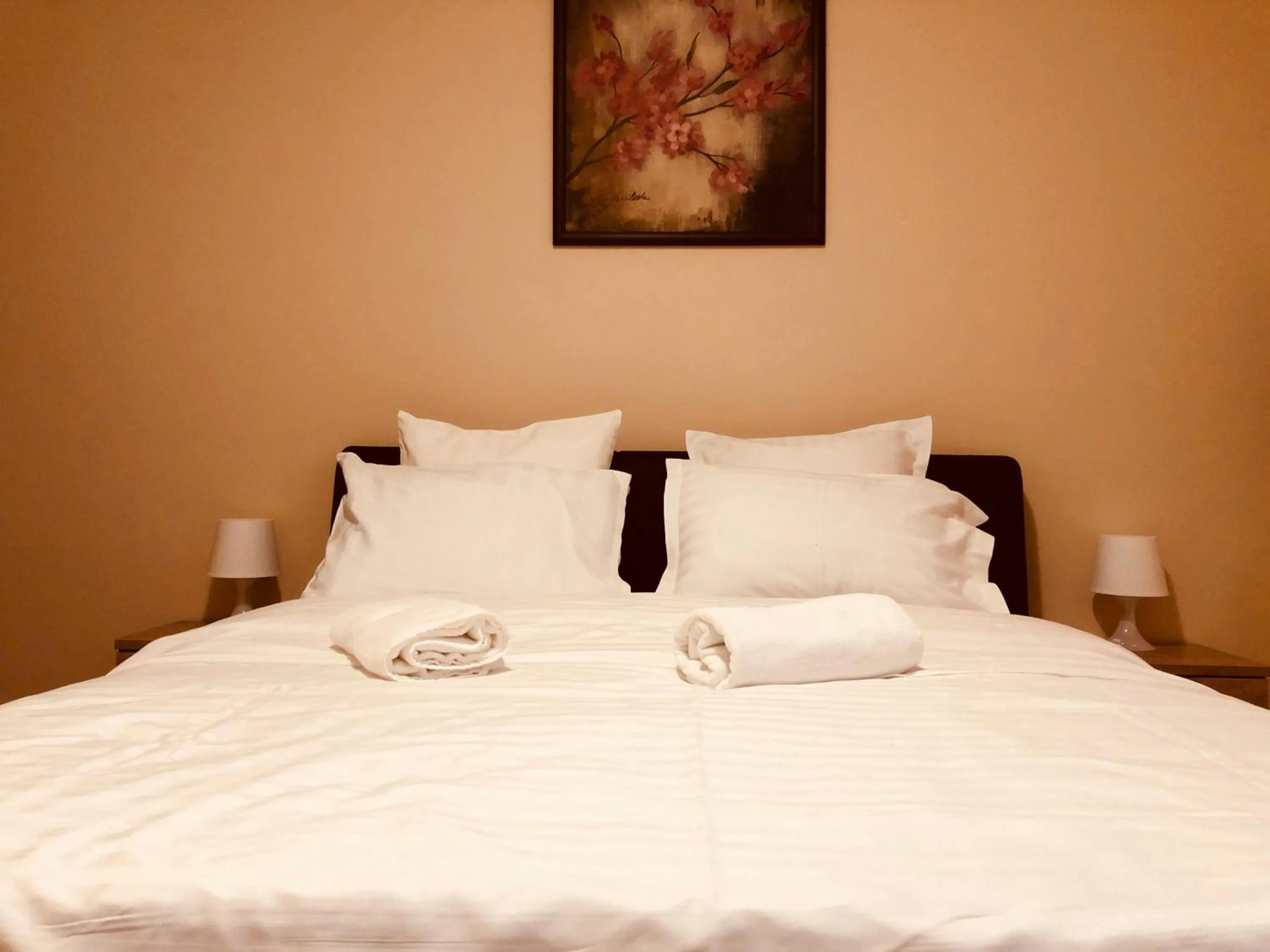 Double Room with Shared Bathroom - single occupancy in Monte Carlo Palace Rooms