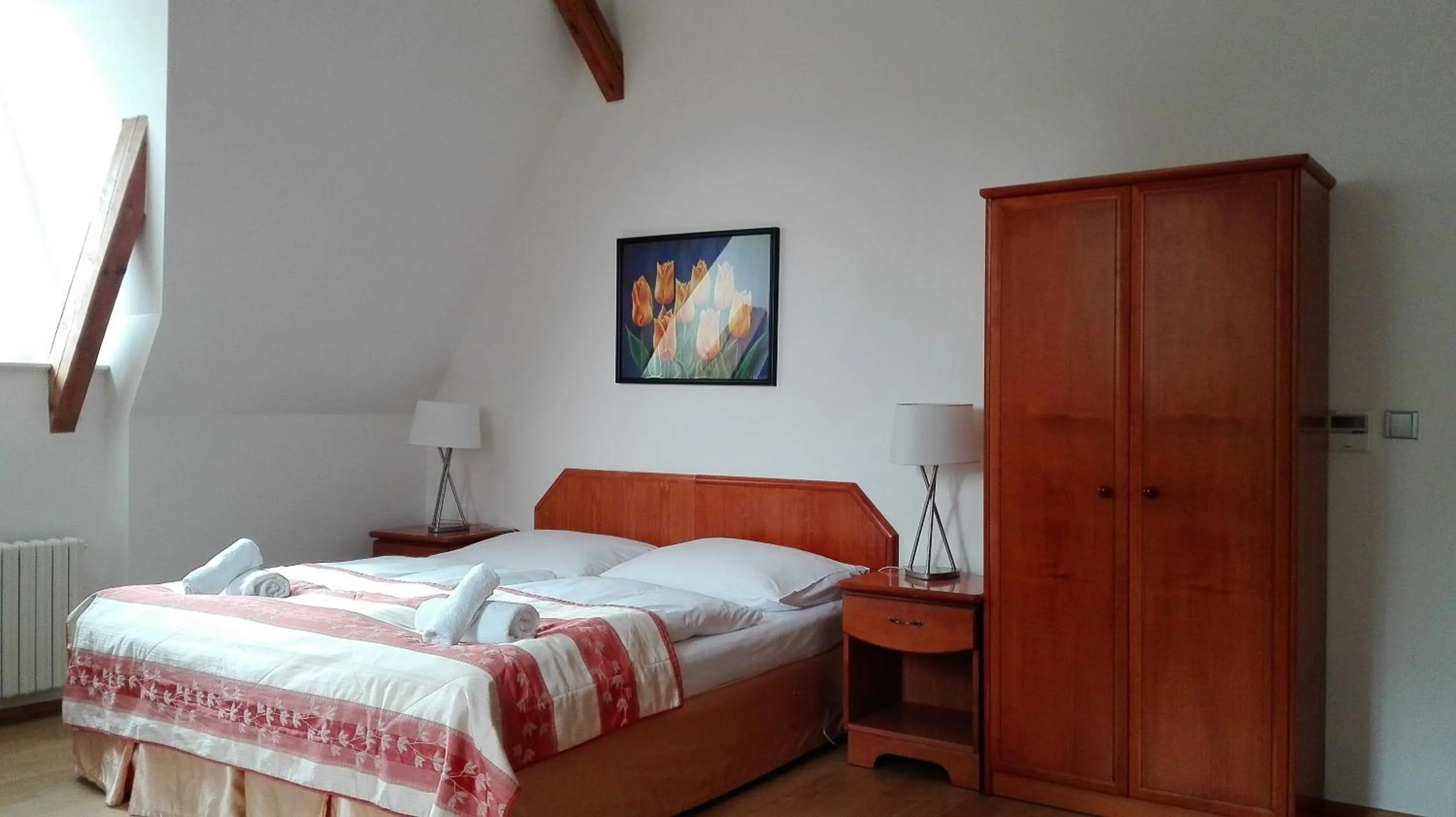 Comfort Double Room in Pension Jana - Domov Mládeže