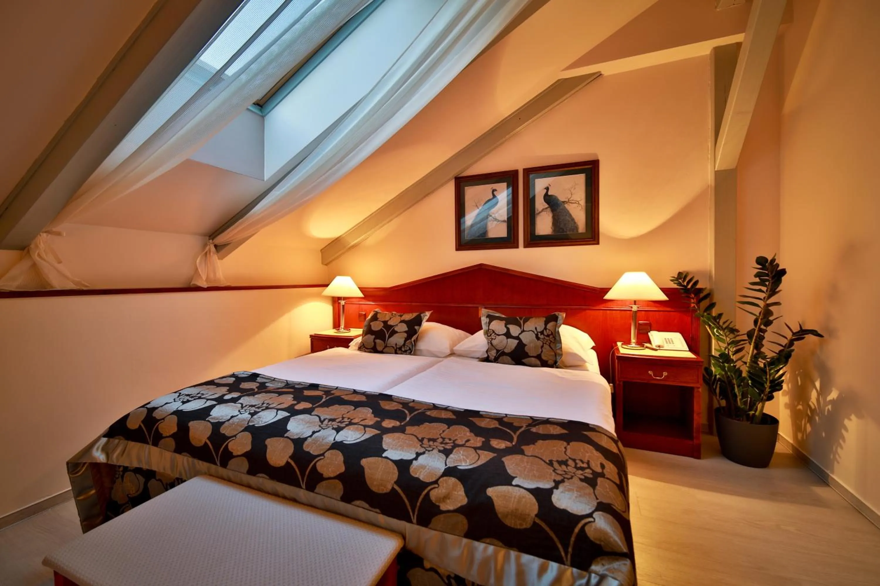 Junior Suite (2 Adults) in Carlton