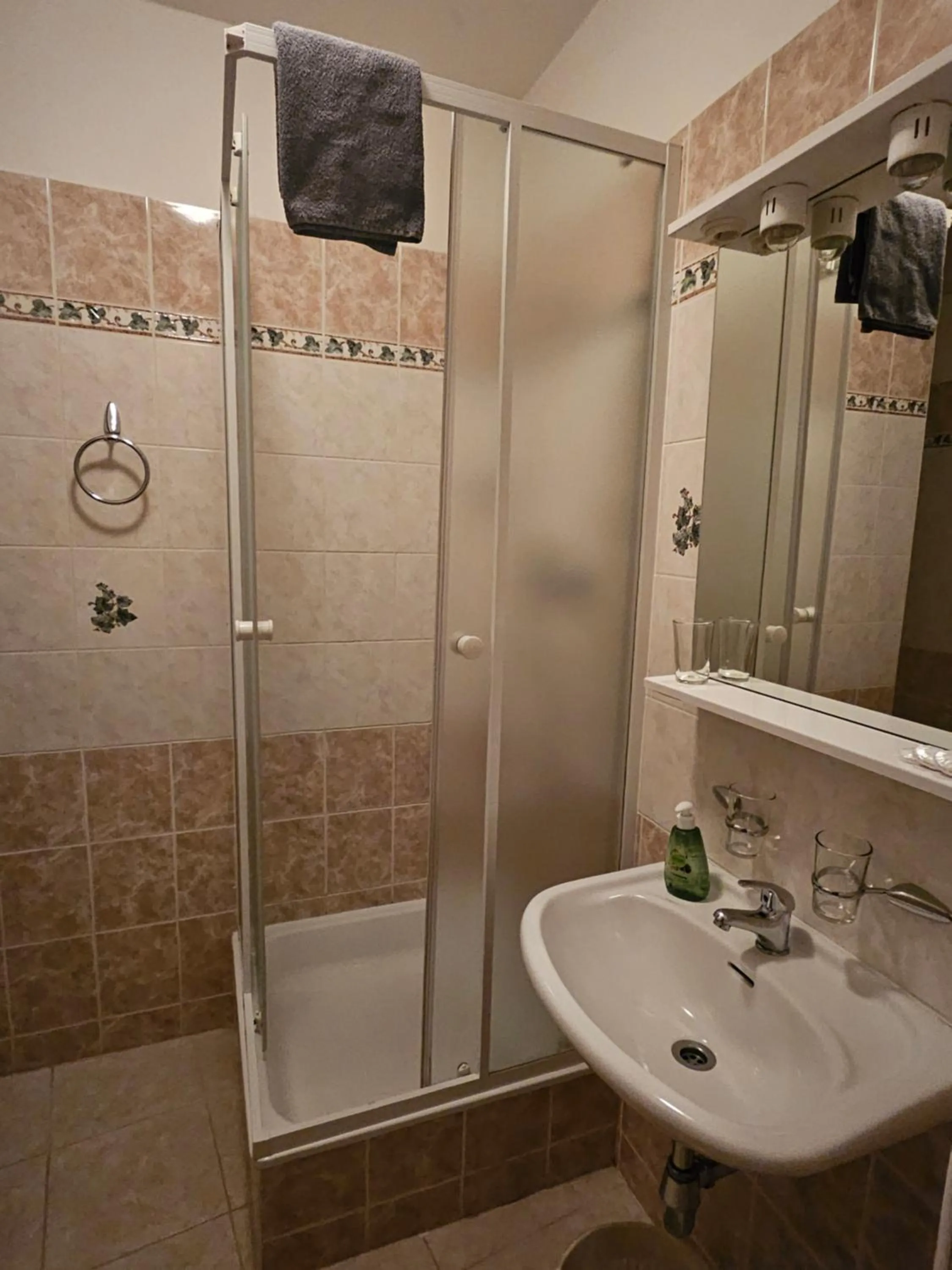 Double or Twin Room with Private Bathroom in Brezina Pension