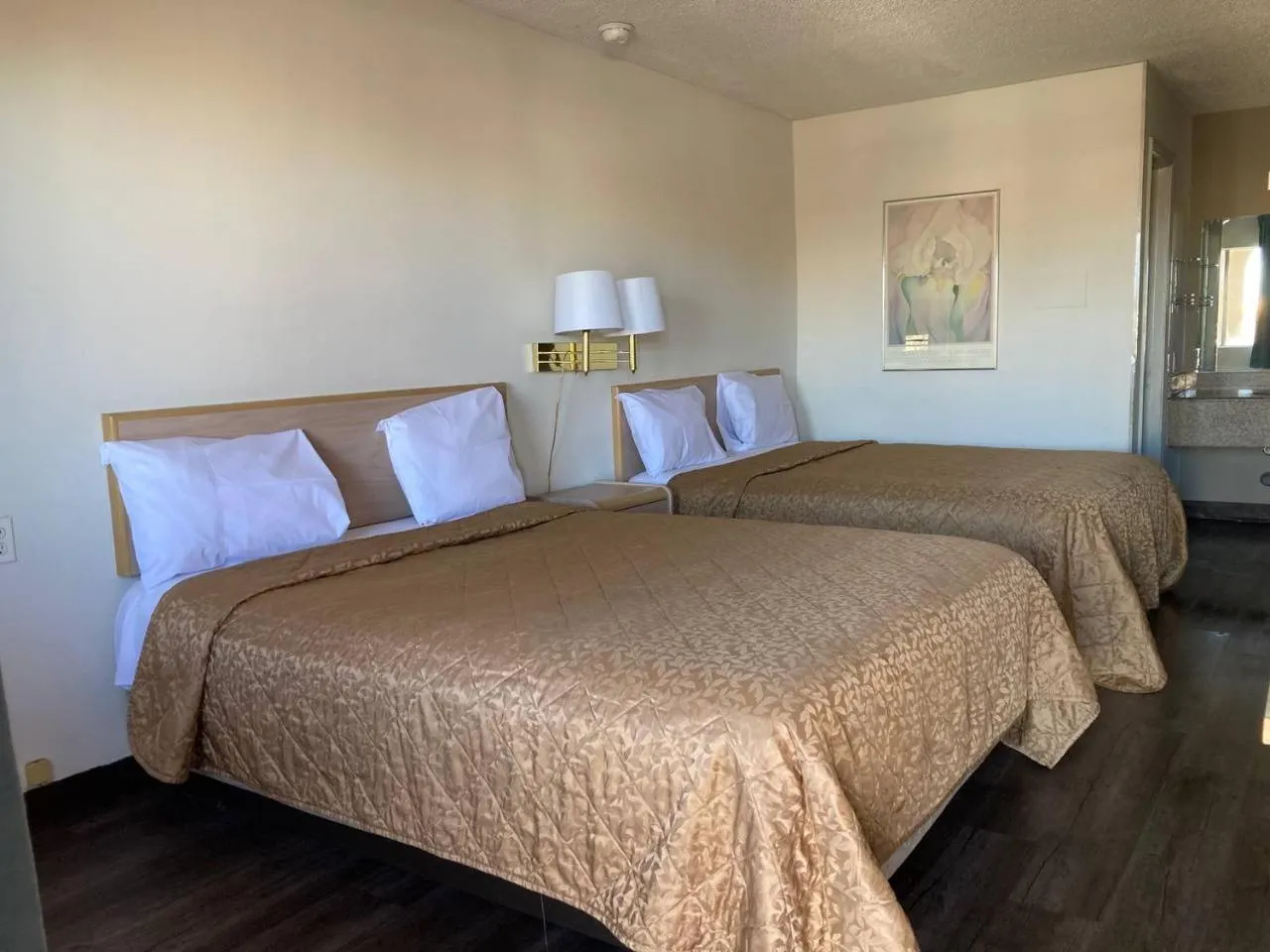 Standard Queen Room in Tree Inn & Suites Albuquerque