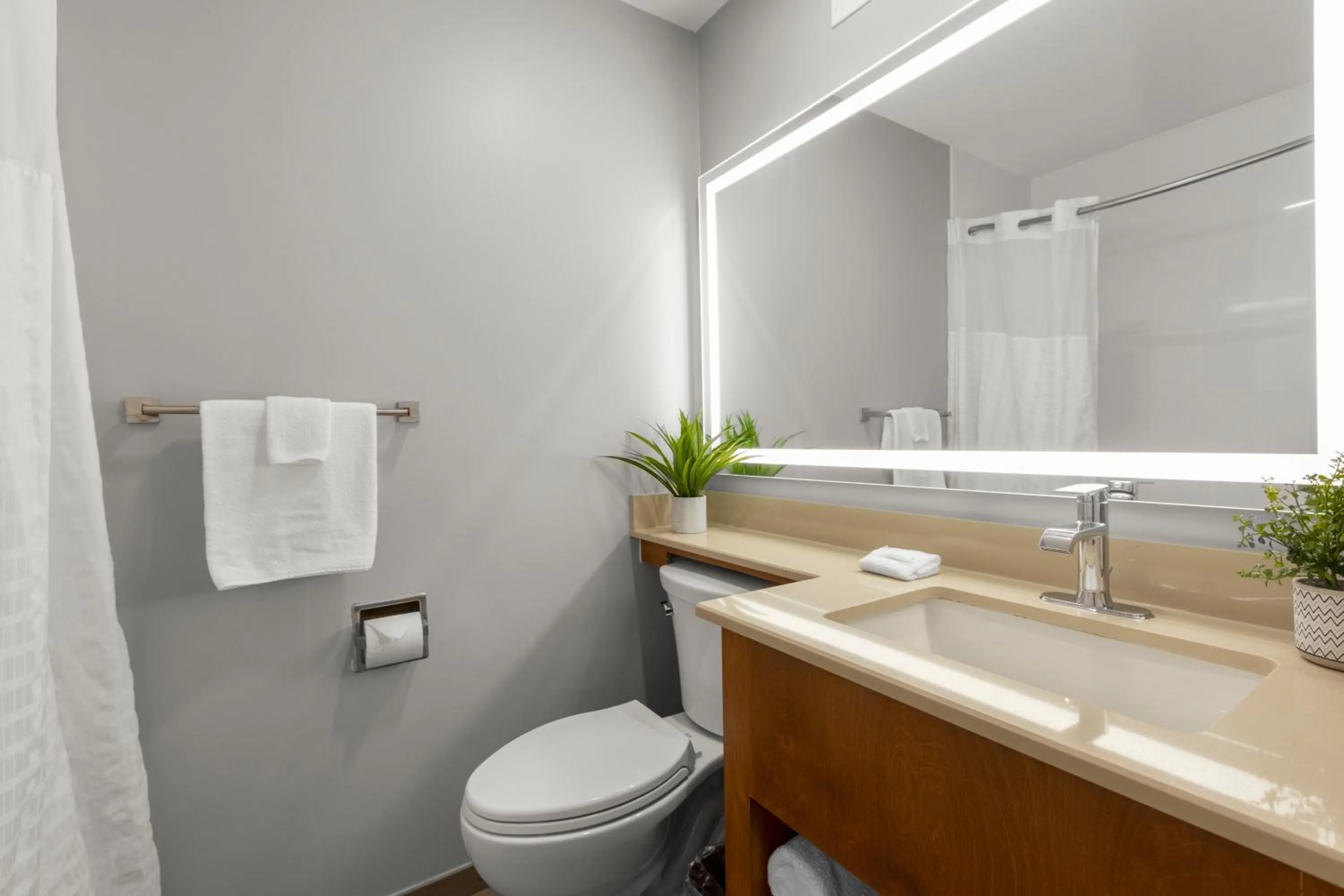 Deluxe Double Room (2 Adults + 1 Child) in Good Nite Inn Redwood City - San Francisco Airport