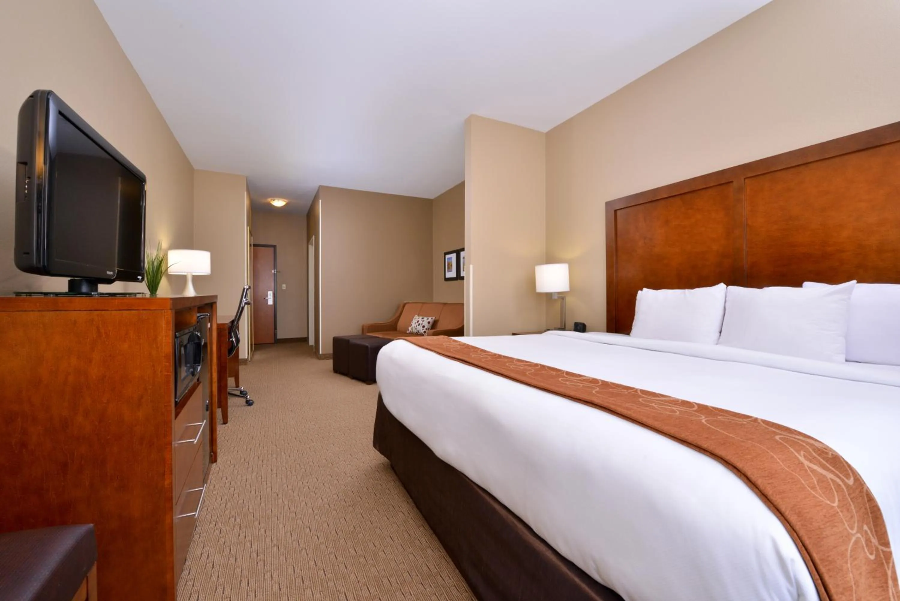 King Suite with Roll-In Shower - Accessible/Non-Smoking in Comfort Suites