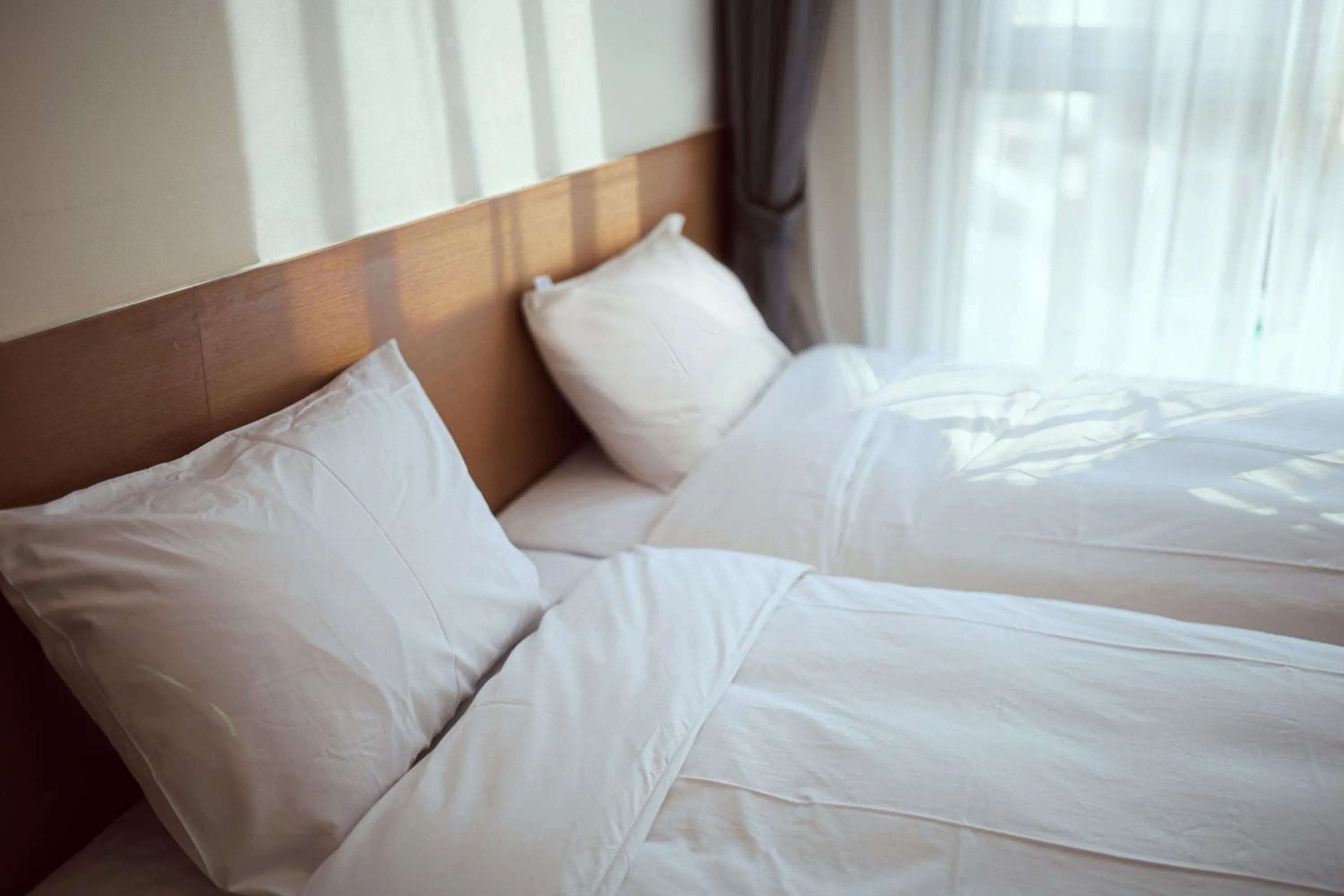 Standard Twin Room in Kenny Stay Busan Gijang