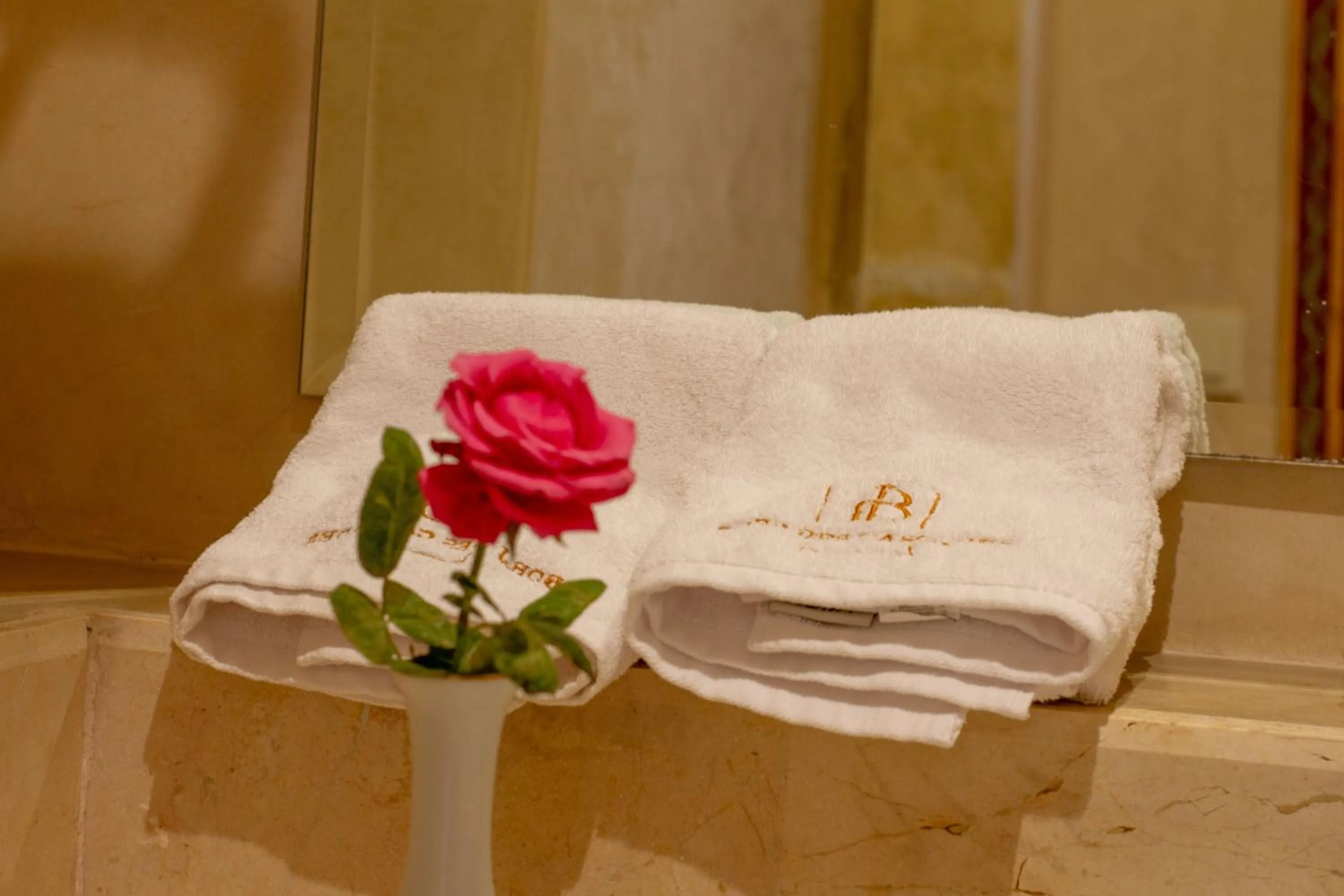 Junior Suite in Borj Des Cascades & Spa