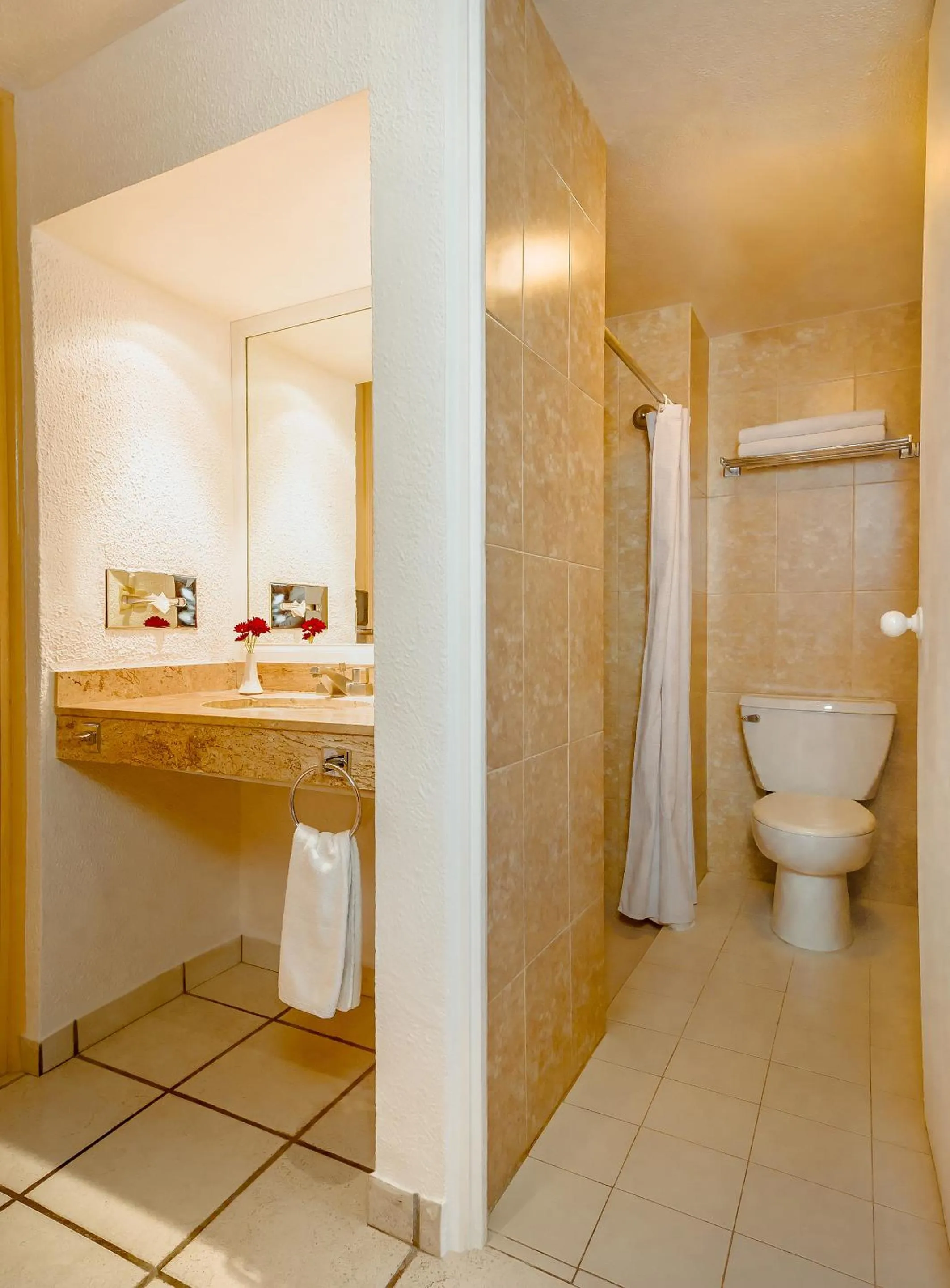 Standard Double Room in Hotel Veracruz Centro Histórico