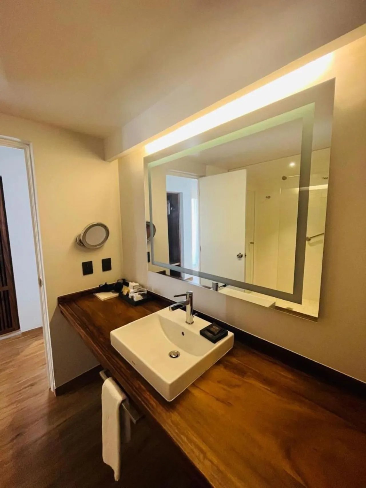 Junior Suite with Ocean View in Emporio Mazatlan