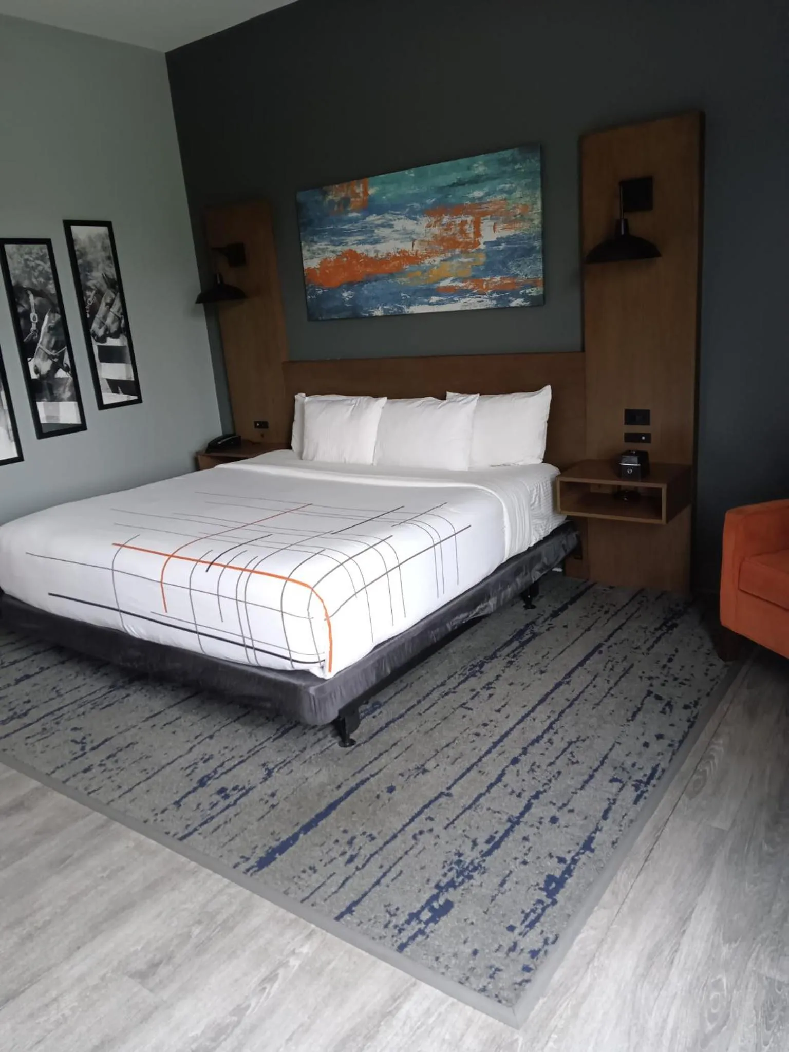 1 King Bed, Mobility Accessible Studio Suite, Roll-In Shower, Non-Smoking in La Quinta Inn & Suites by Wyndham Bardstown