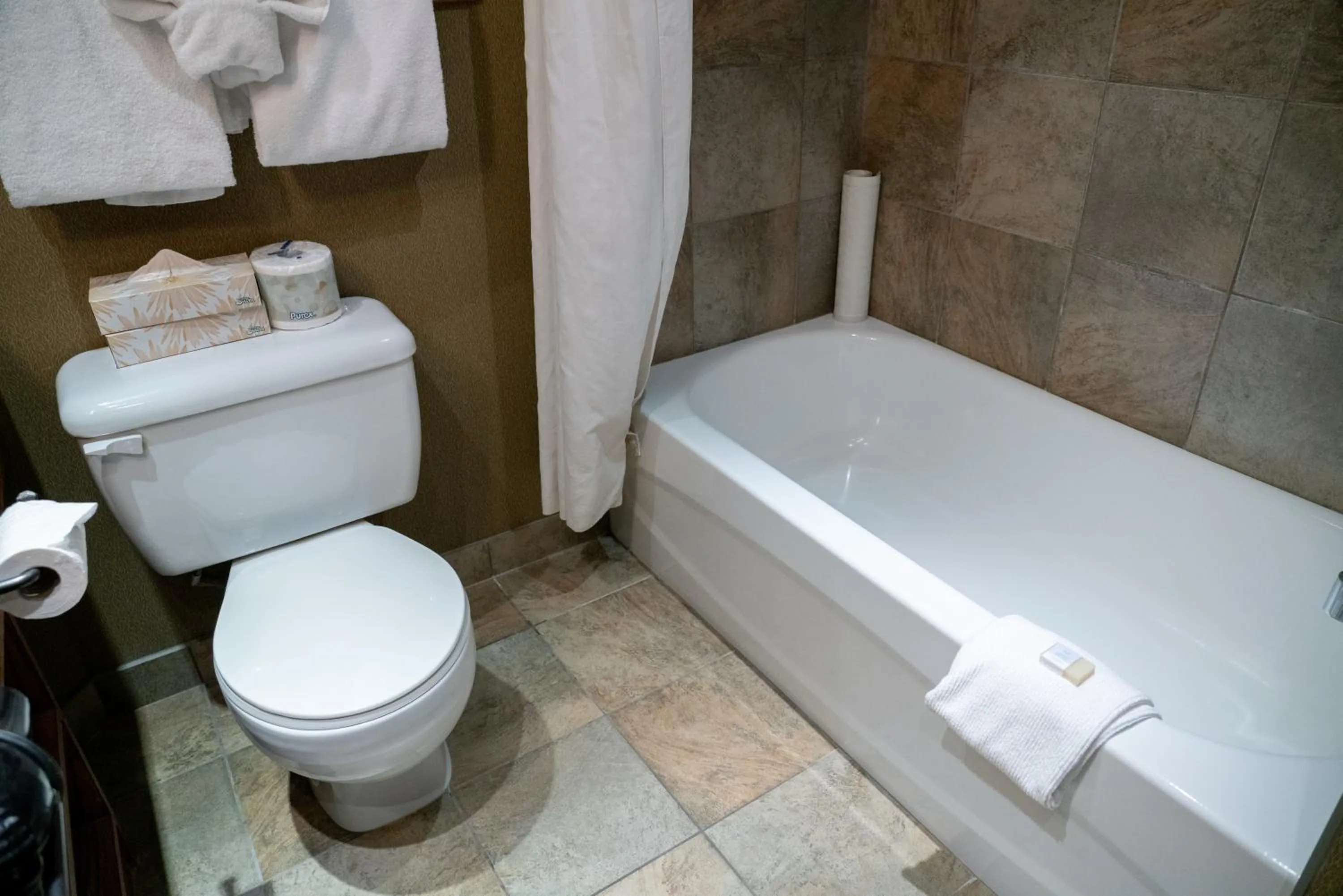 Superior King Room in Banff Caribou Lodge and Spa