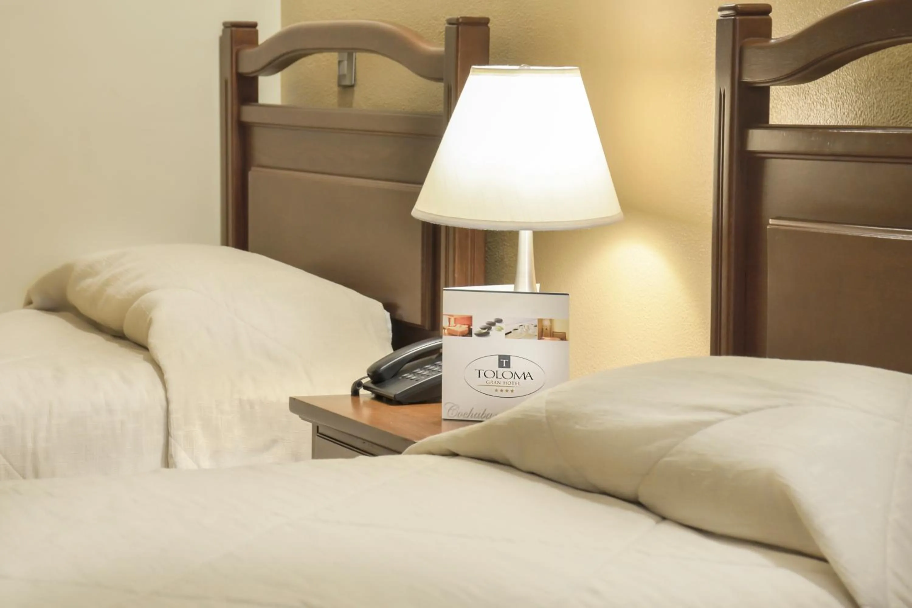 Twin Room in Gran Hotel Toloma