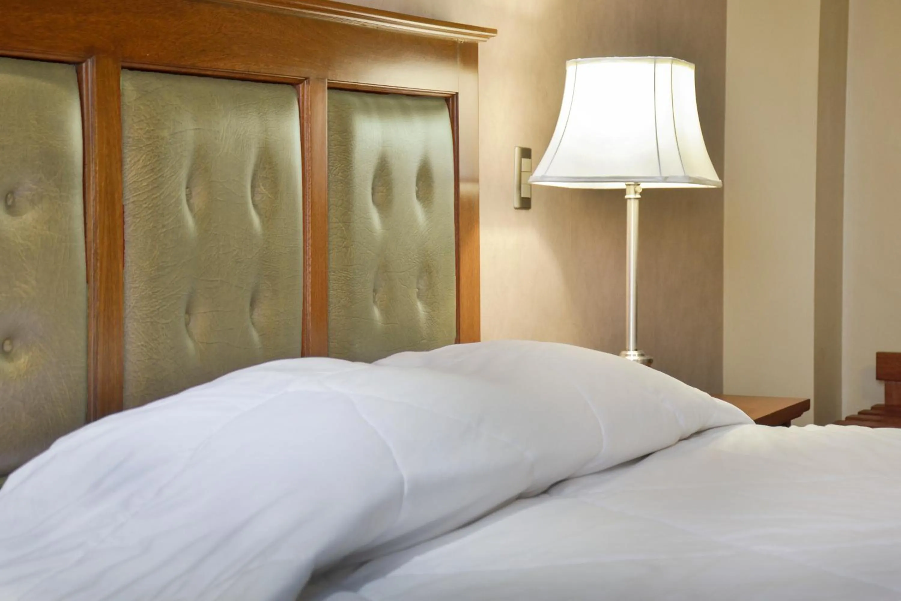 Double Room in Gran Hotel Toloma