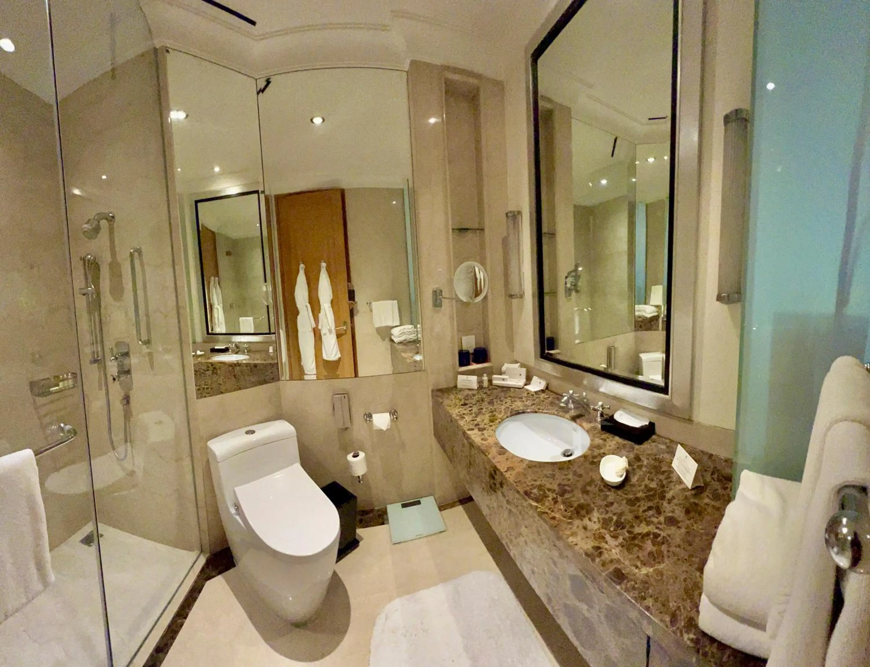 Superior Double or Twin Room with Pool View in Trident Gurgaon